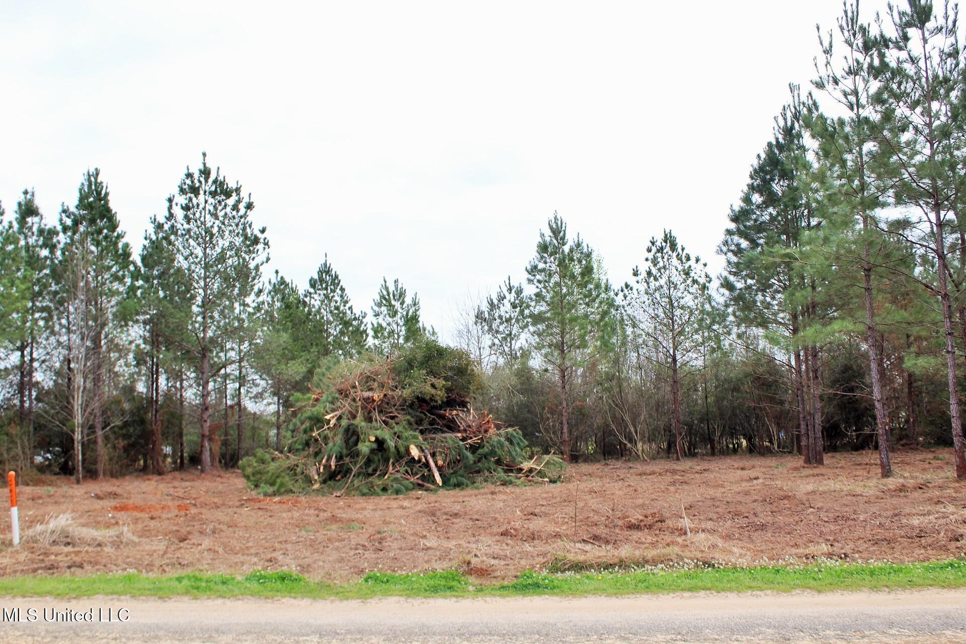 0.82ac Shannon Lane, Lucedale, Mississippi image 4