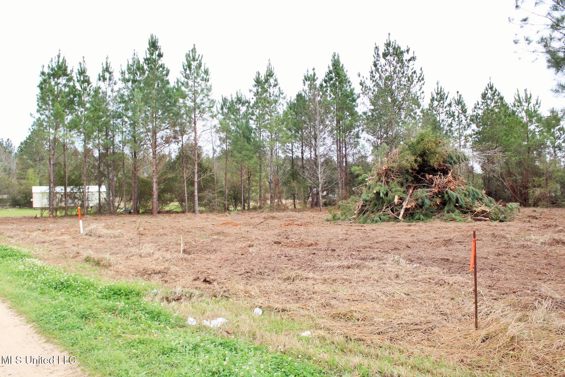 0.82ac Shannon Lane, Lucedale, Mississippi image 1