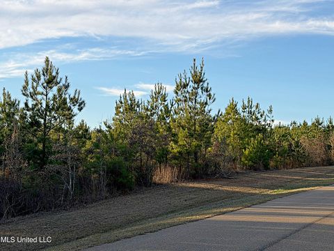 Vacant Land For Sale - Airport Road<br/> Leake County, Carthage, MS 39051