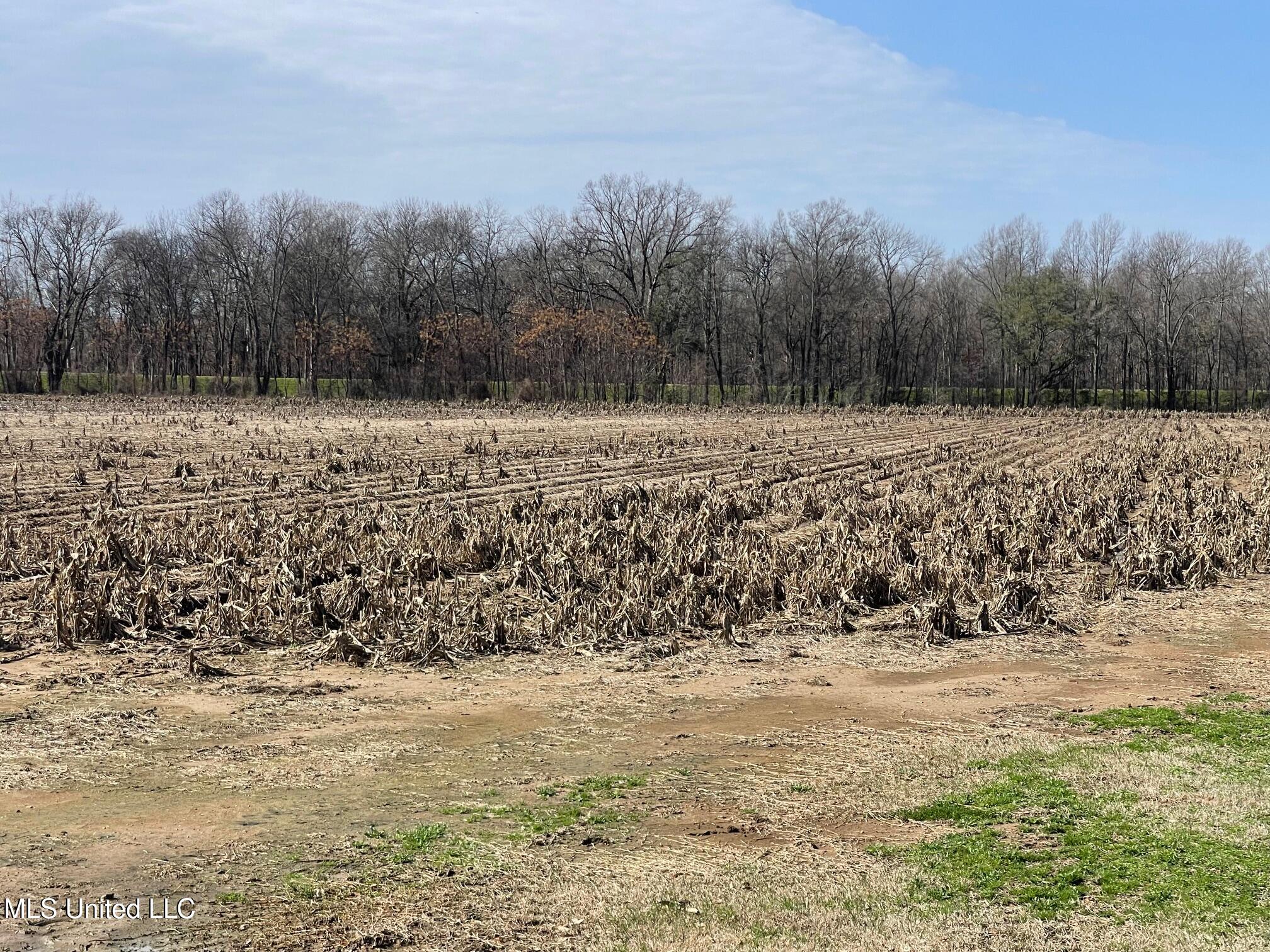 County Rd 540, Sidon, Mississippi image 8