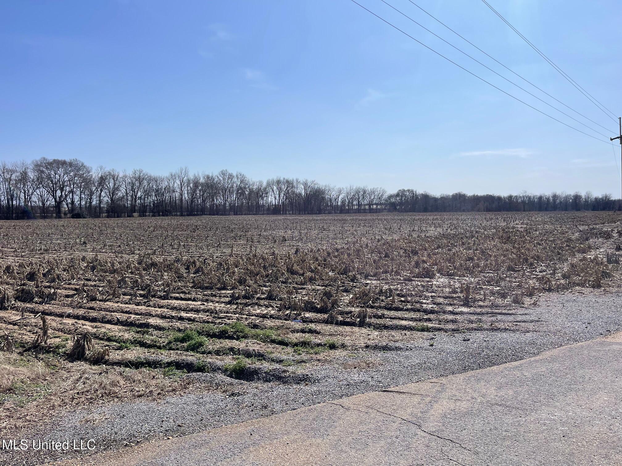 County Rd 540, Sidon, Mississippi image 3