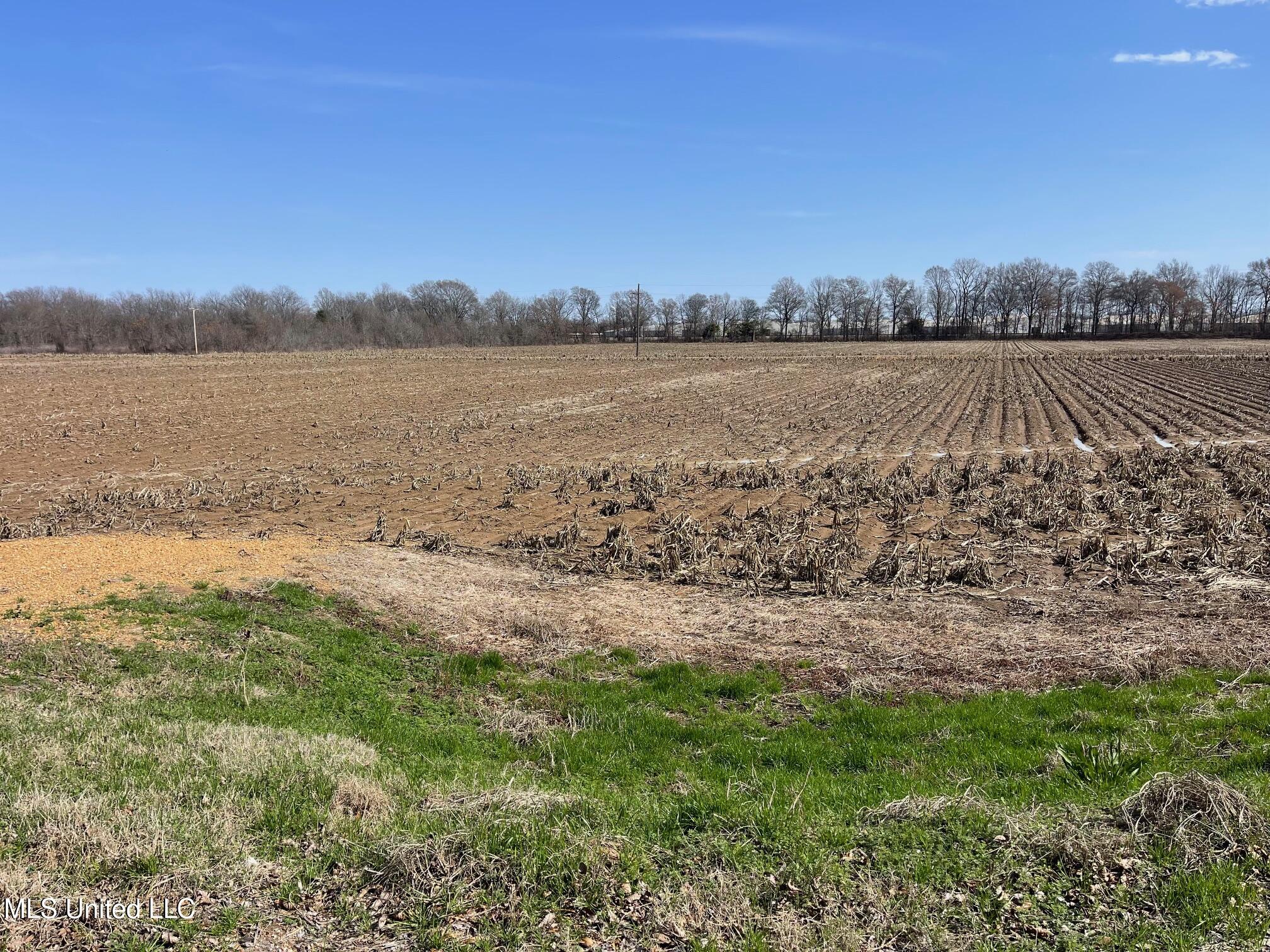 County Rd 540, Sidon, Mississippi image 1