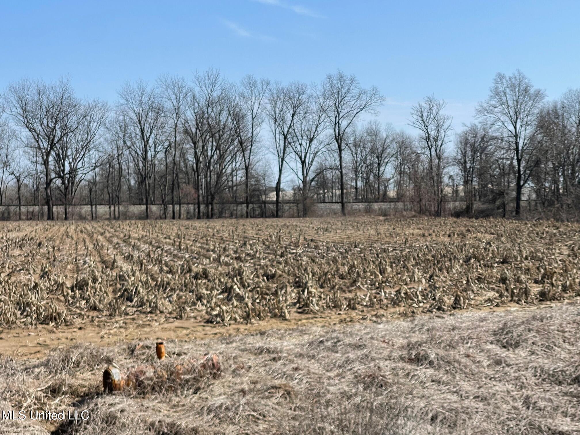 County Rd 540, Sidon, Mississippi image 7