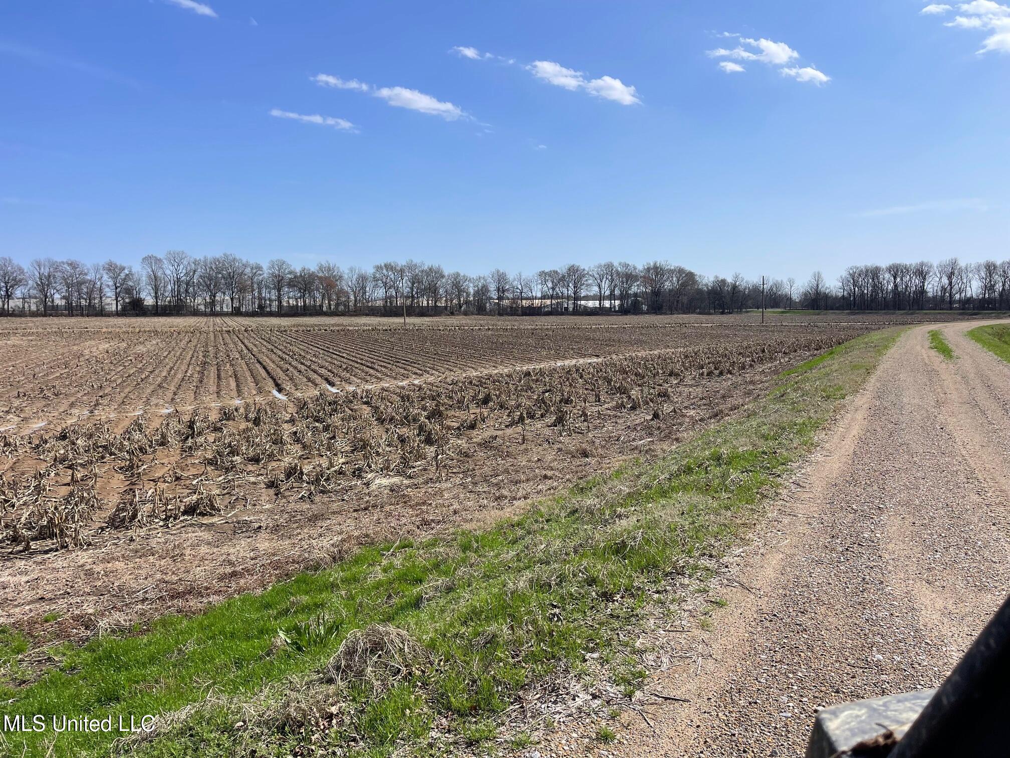 County Rd 540, Sidon, Mississippi image 15