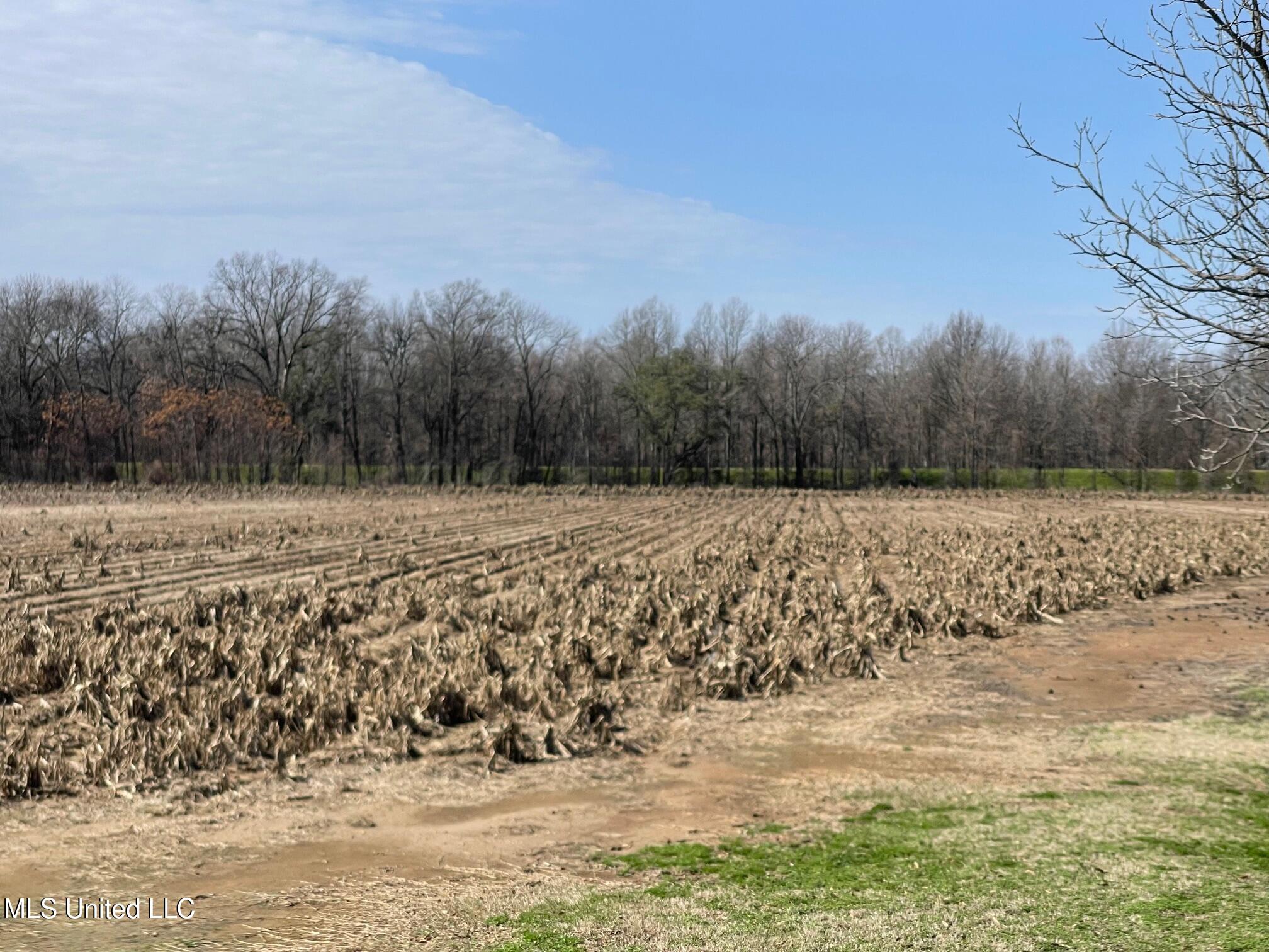 County Rd 540, Sidon, Mississippi image 9