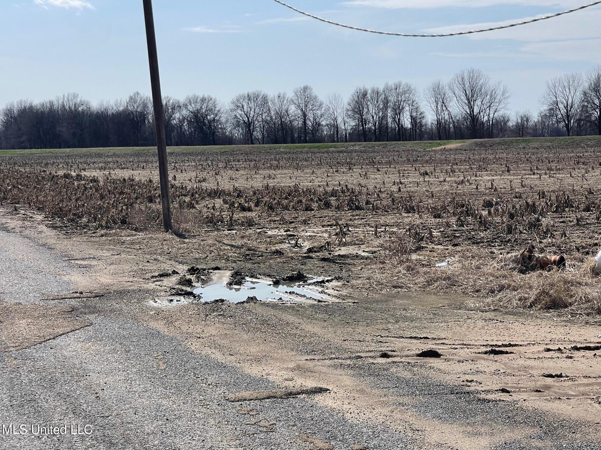 County Rd 540, Sidon, Mississippi image 11