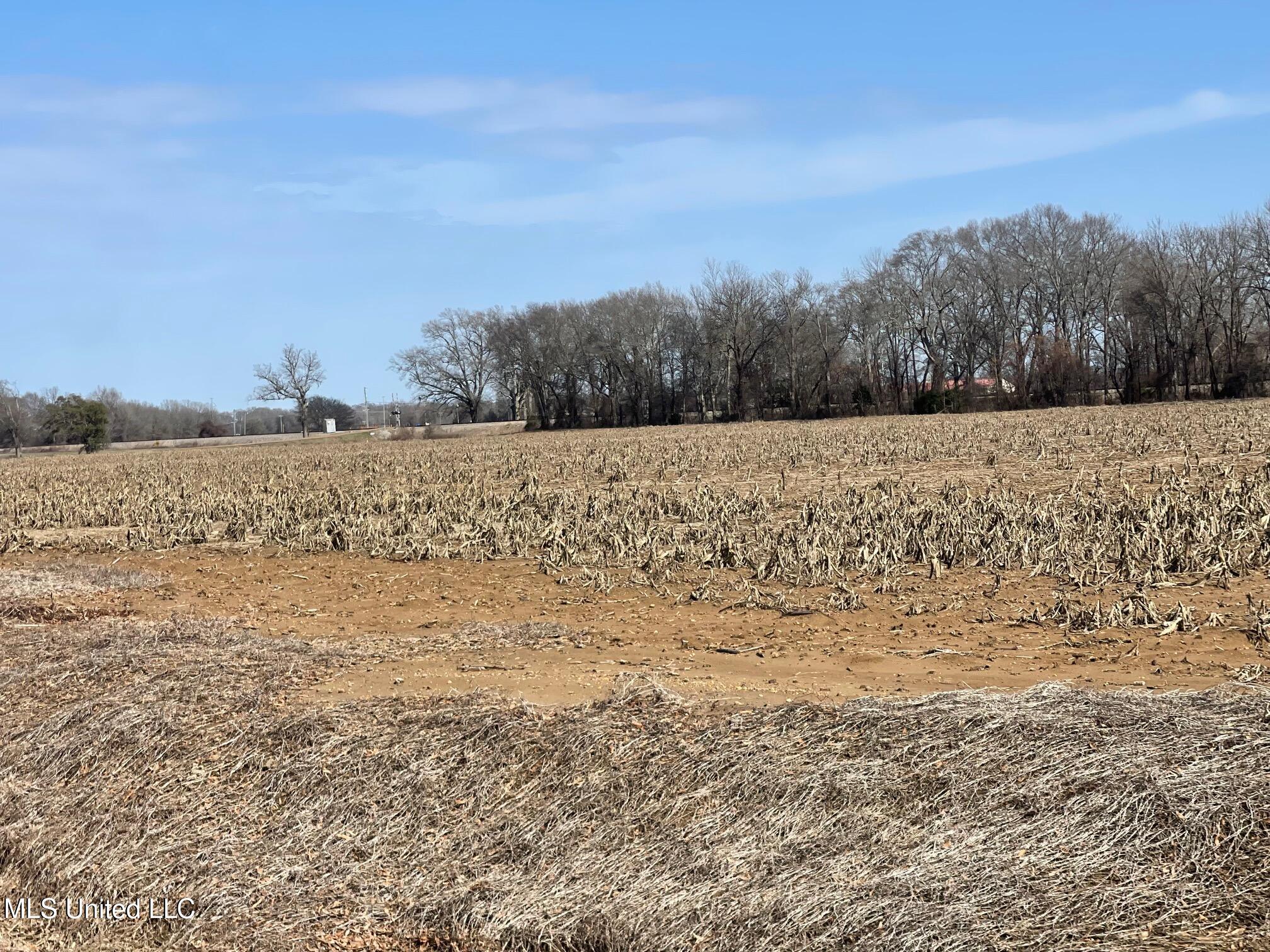 County Rd 540, Sidon, Mississippi image 6