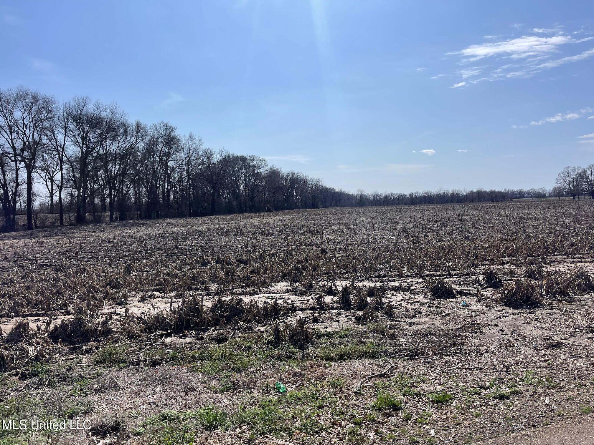 County Rd 540, Sidon, Mississippi image 2