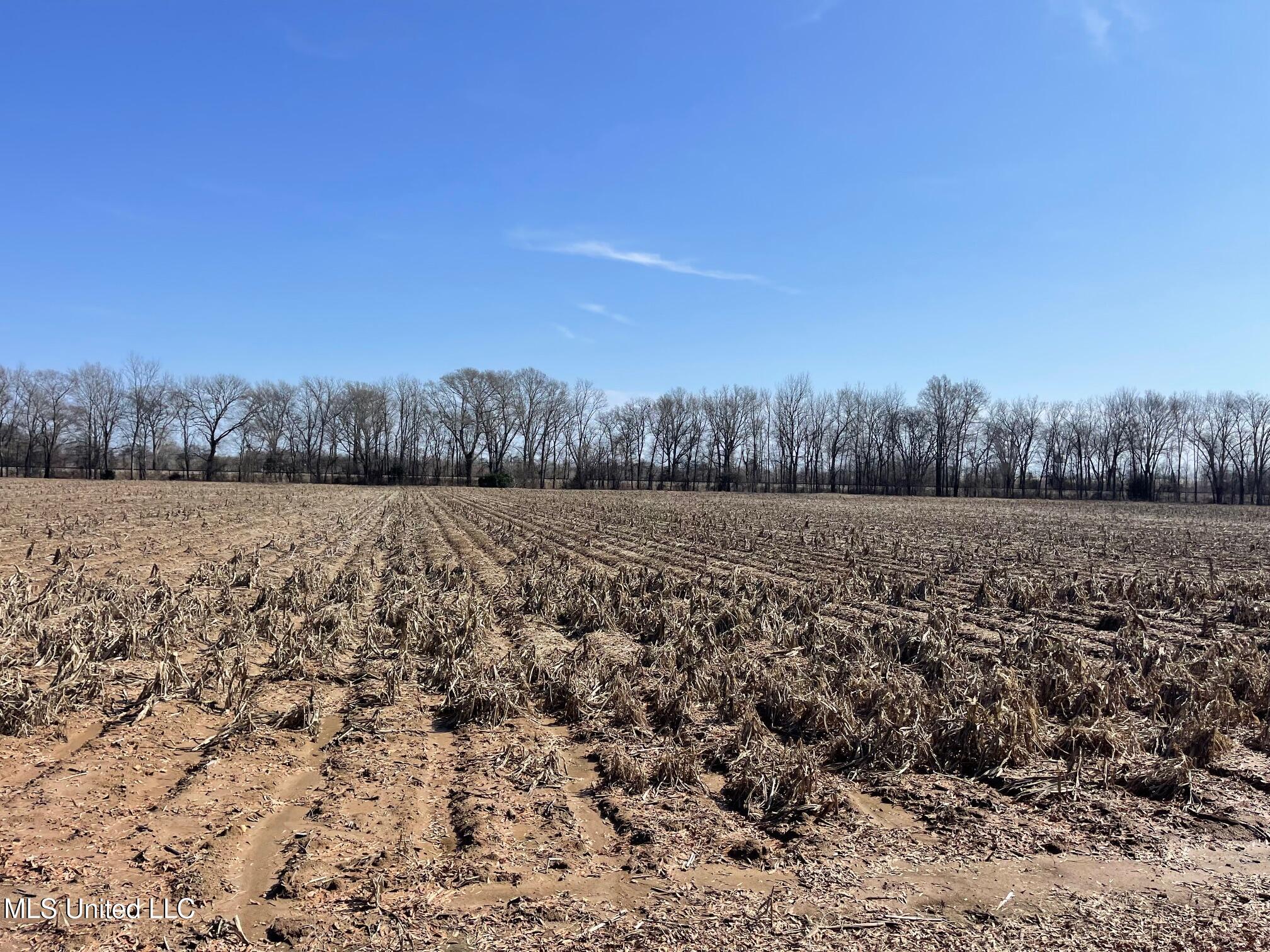 County Rd 540, Sidon, Mississippi image 4