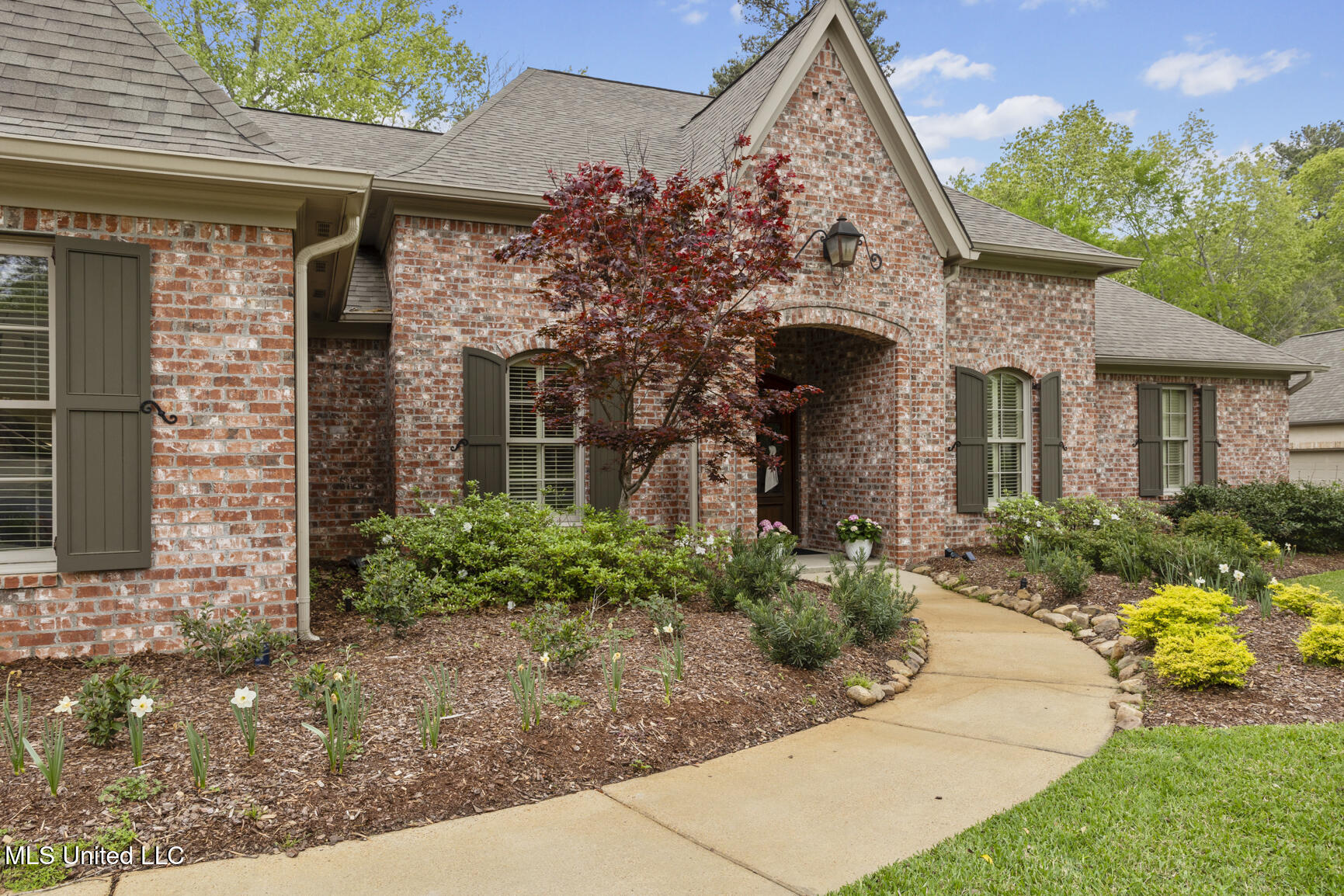 105 Selby Drive, Madison, Mississippi image 3
