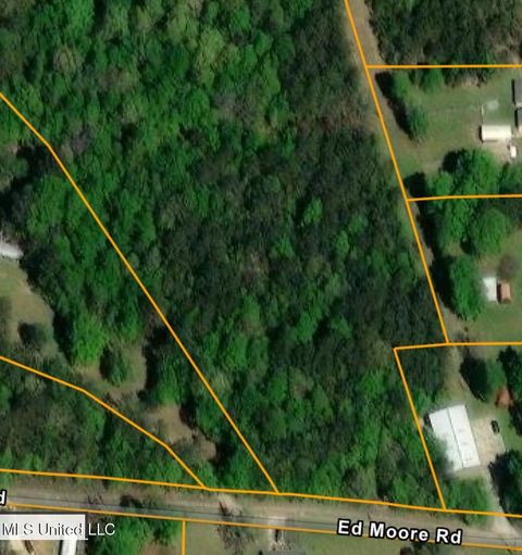 Vacant Land For Sale - 00 Ed Moore Road<br/> Picayune, MS 39466