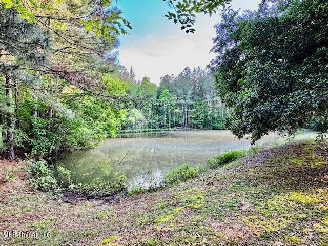 86 Pleasant Hill Road, Mount Olive, Mississippi image 26