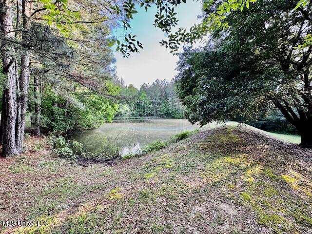 86 Pleasant Hill Road, Mount Olive, Mississippi image 27