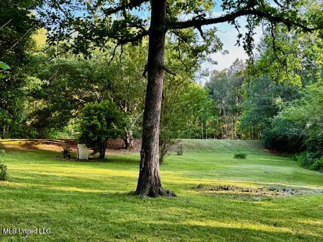 86 Pleasant Hill Road, Mount Olive, Mississippi image 25