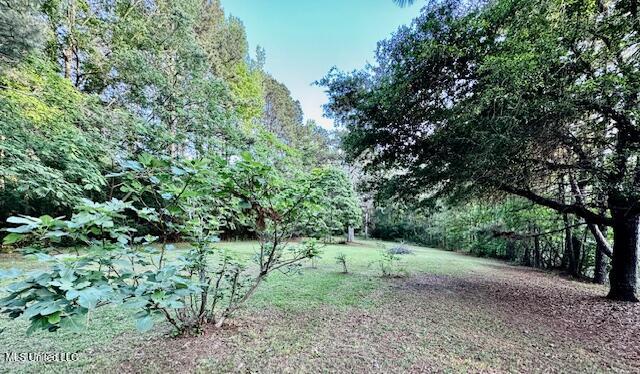 86 Pleasant Hill Road, Mount Olive, Mississippi image 28