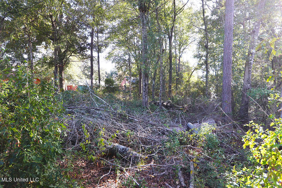 Creek Drive, Gulfport, Mississippi image 3