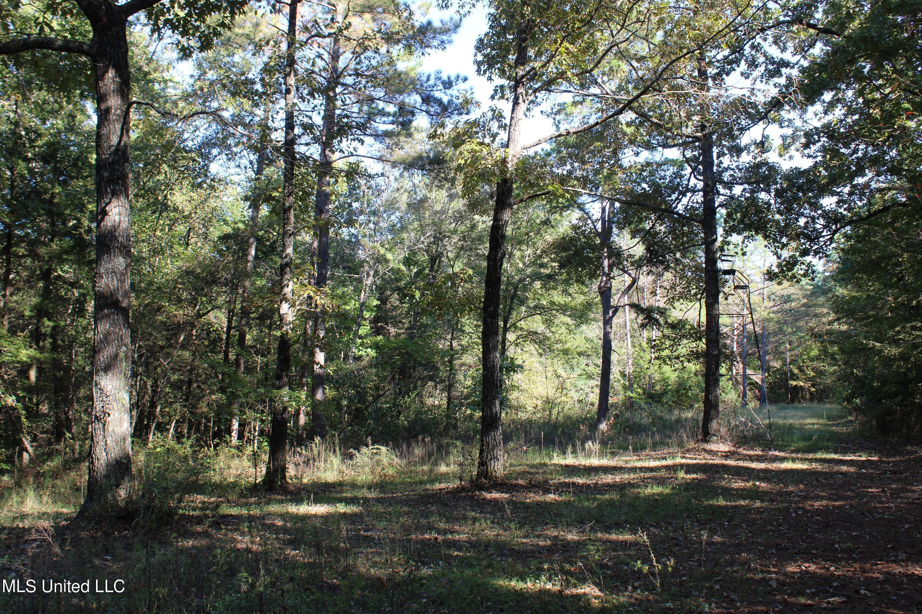 1503 Lower Gurley Road, Potts Camp, Mississippi image 46