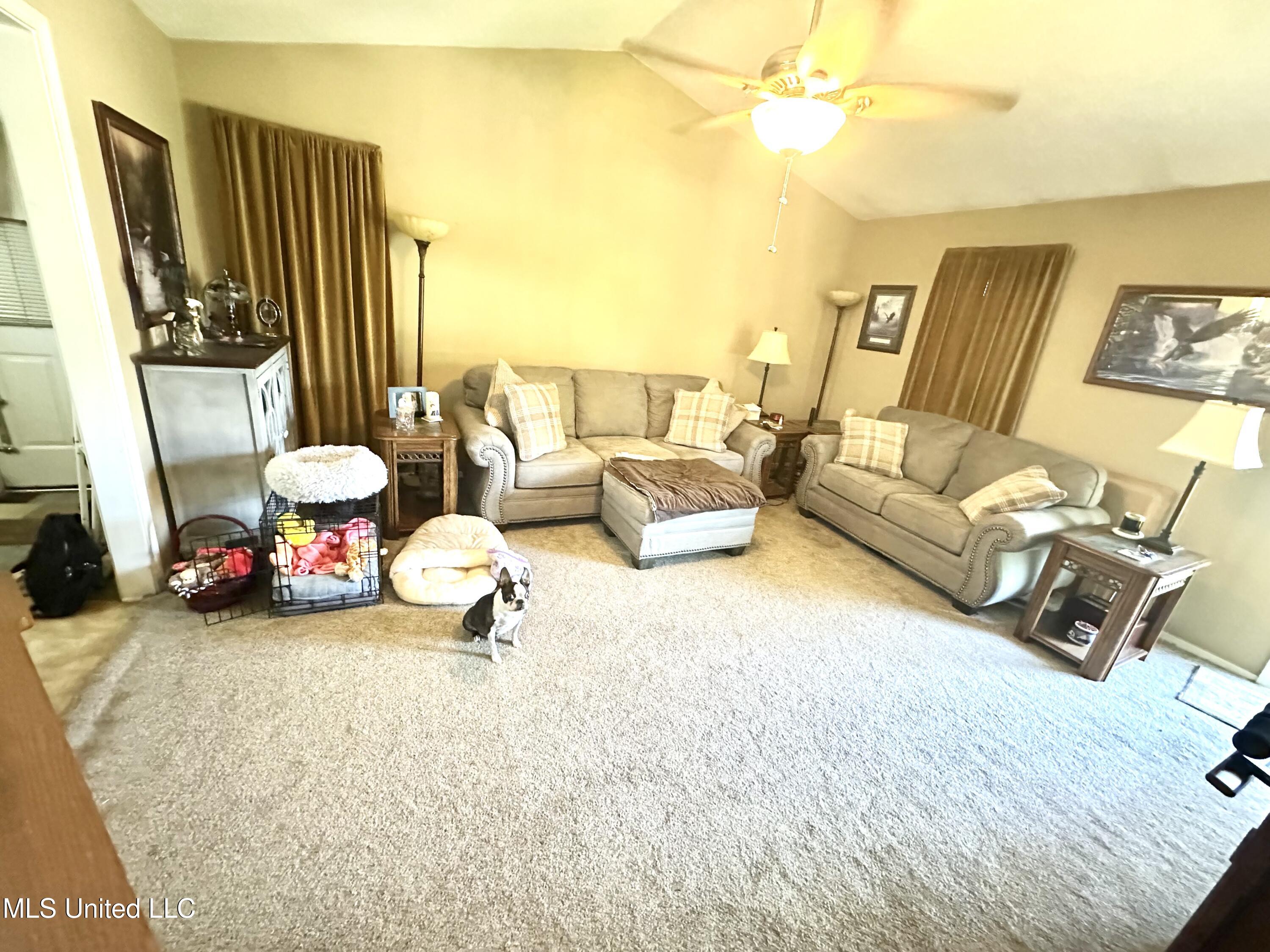 3505 Dorchester Drive, Horn Lake, Mississippi image 6