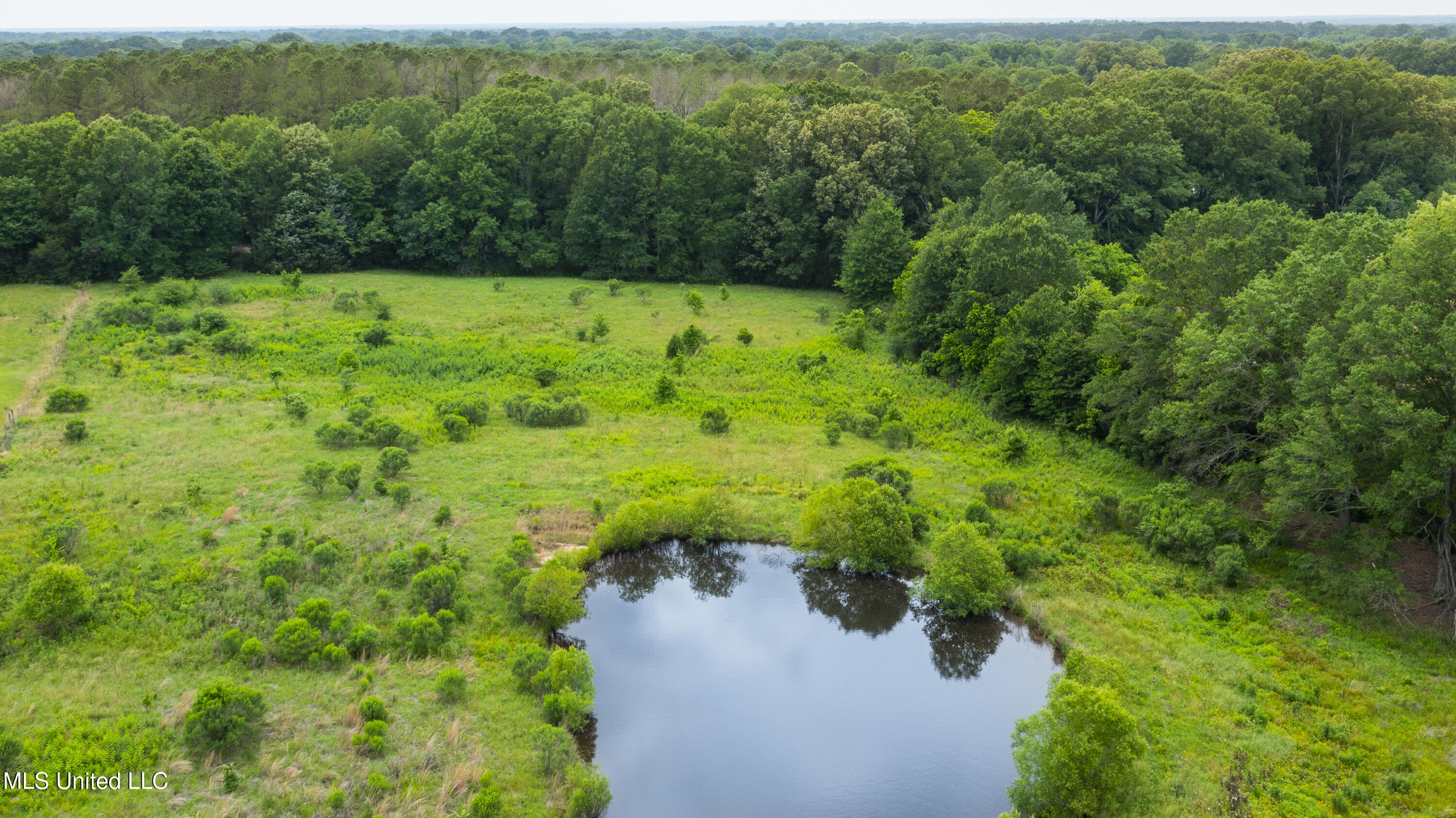 Horseshoe Lane, Flora, Mississippi image 10