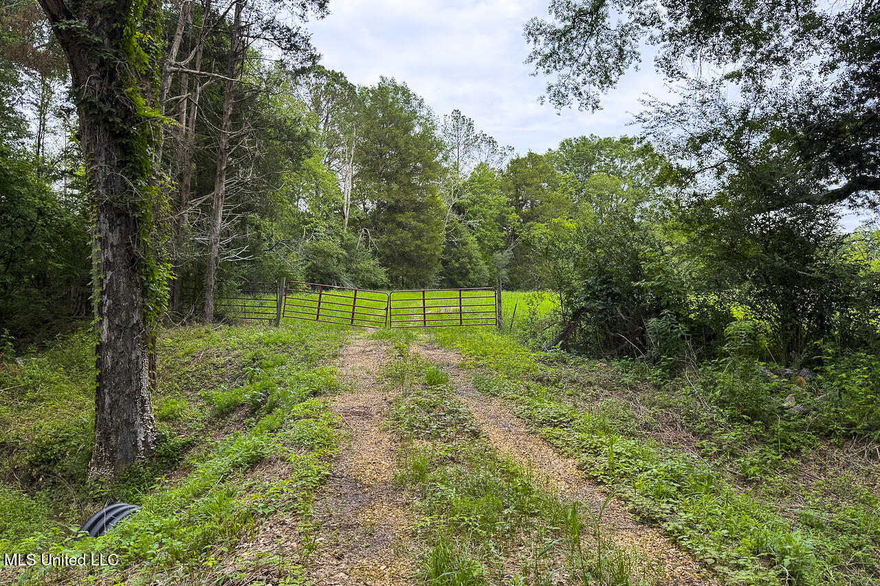 Horseshoe Lane, Flora, Mississippi image 18