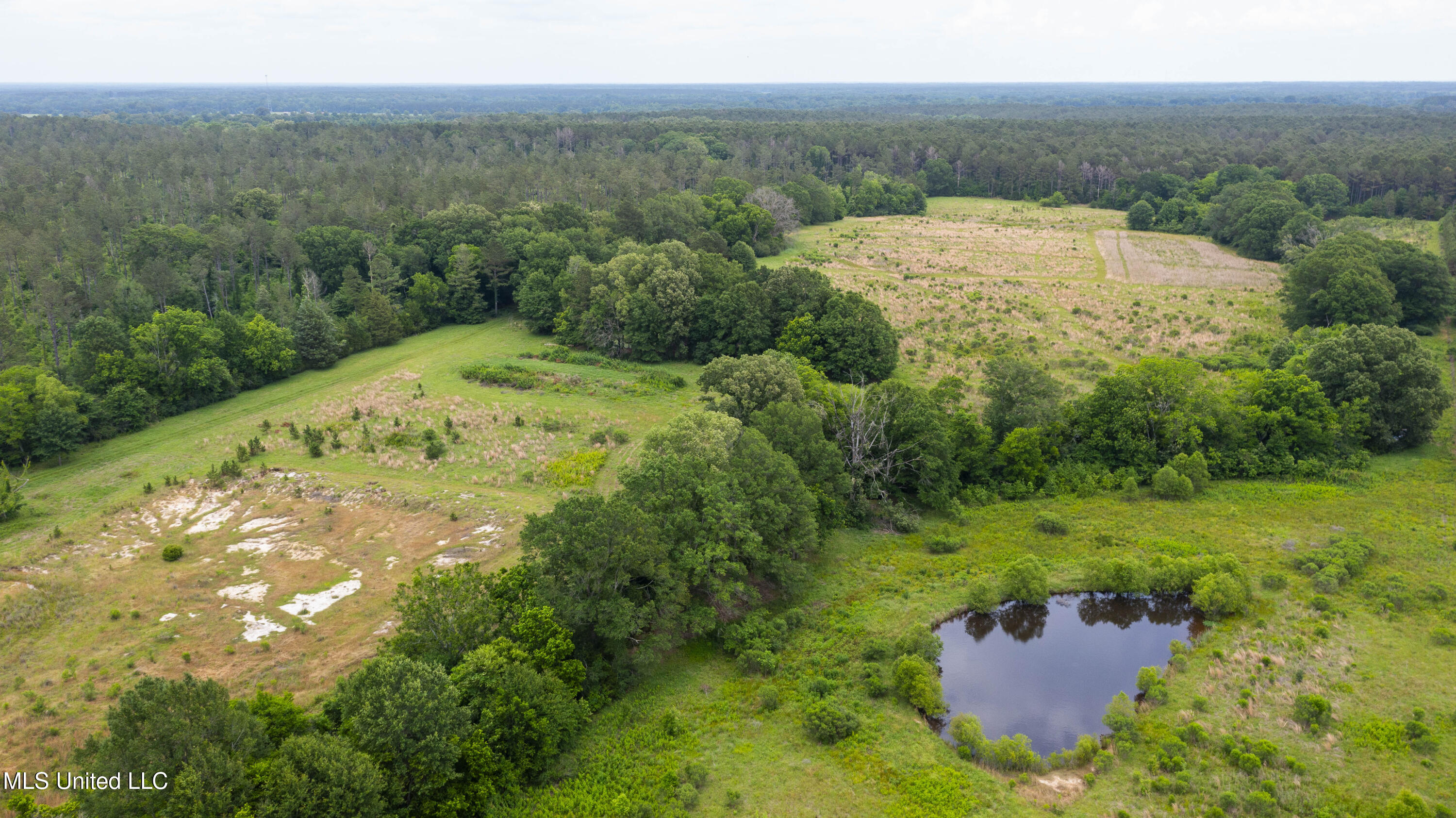 Horseshoe Lane, Flora, Mississippi image 8