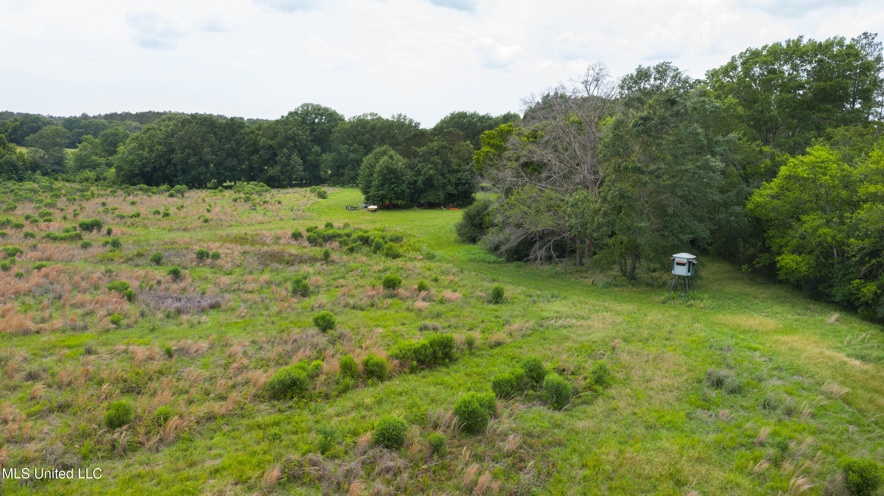 Horseshoe Lane, Flora, Mississippi image 16