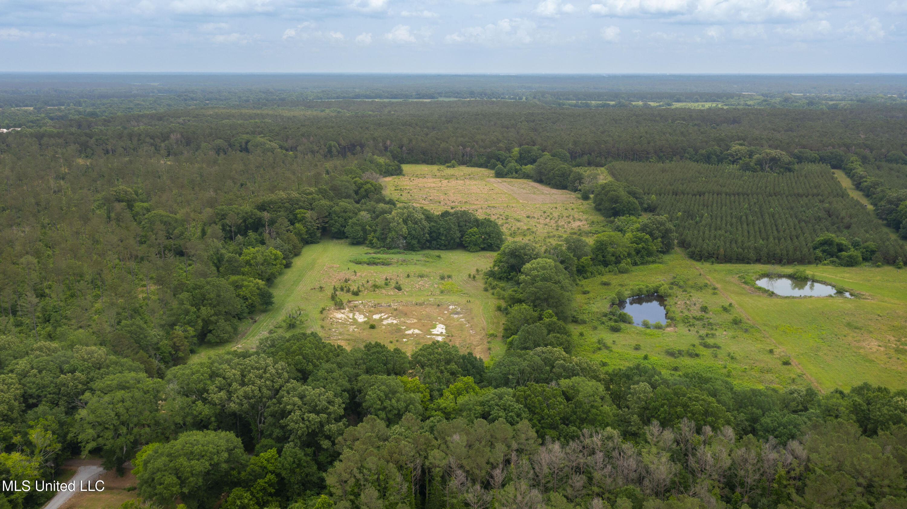 Horseshoe Lane, Flora, Mississippi image 2