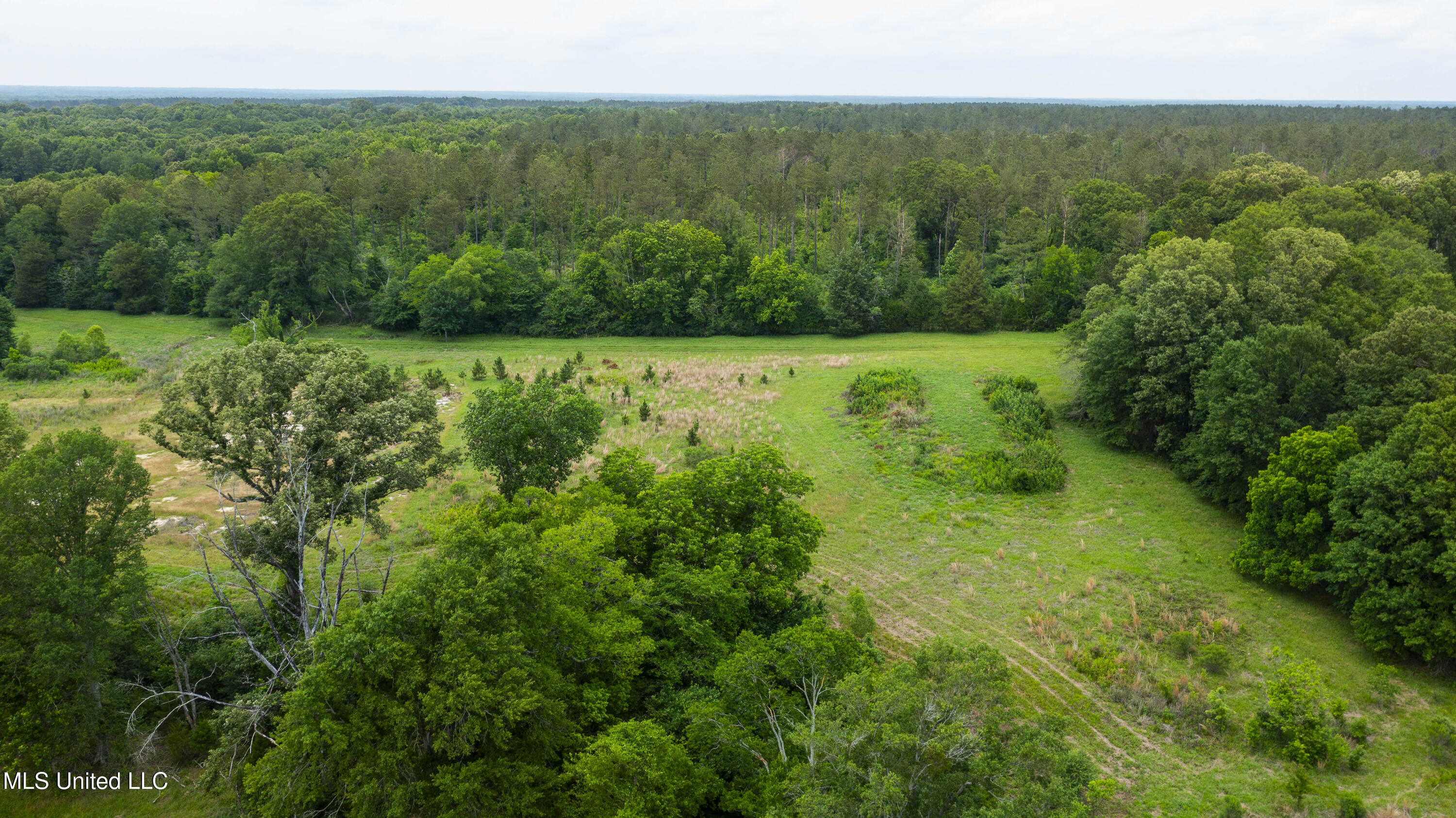 Horseshoe Lane, Flora, Mississippi image 11
