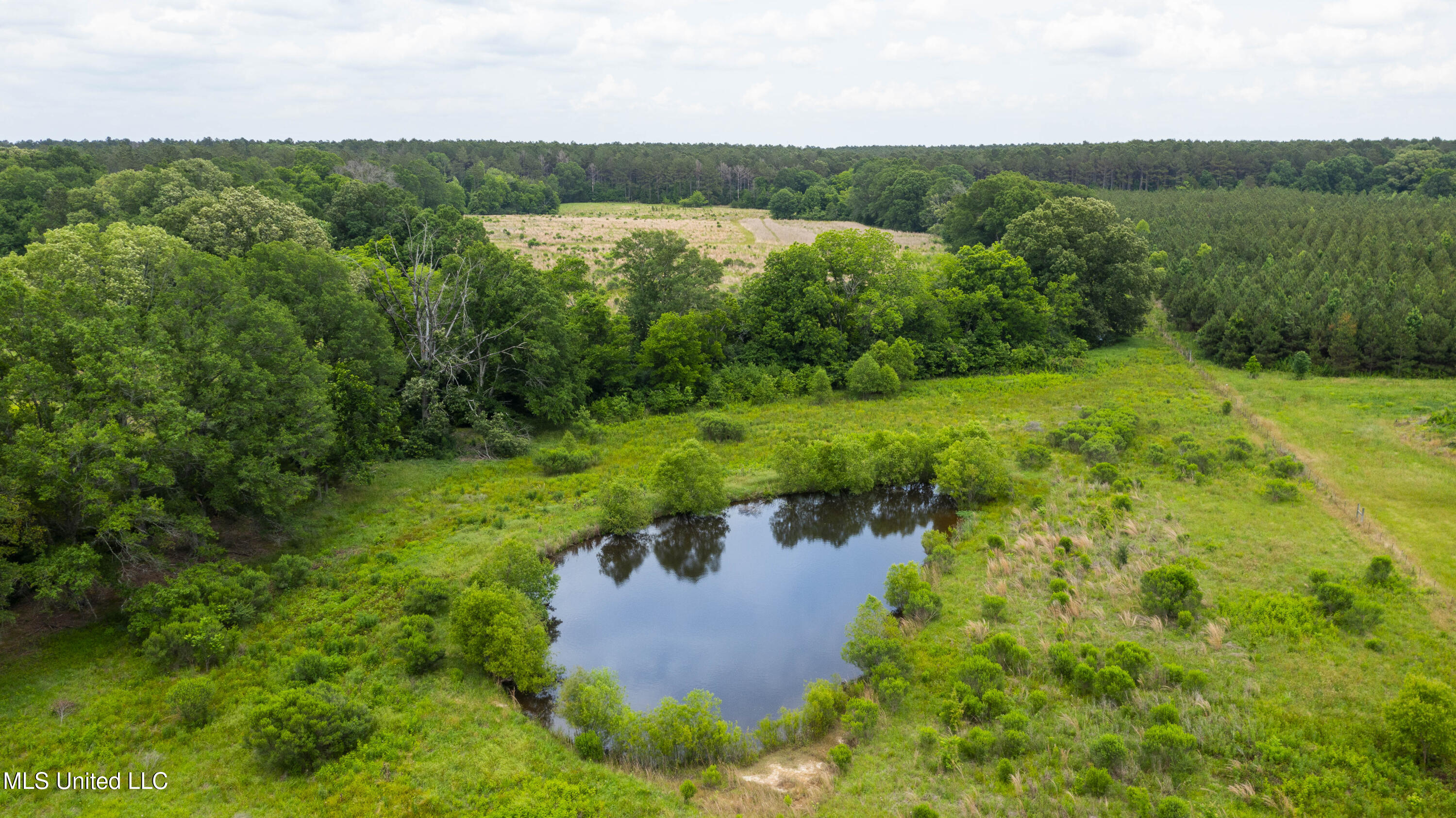 Horseshoe Lane, Flora, Mississippi image 9