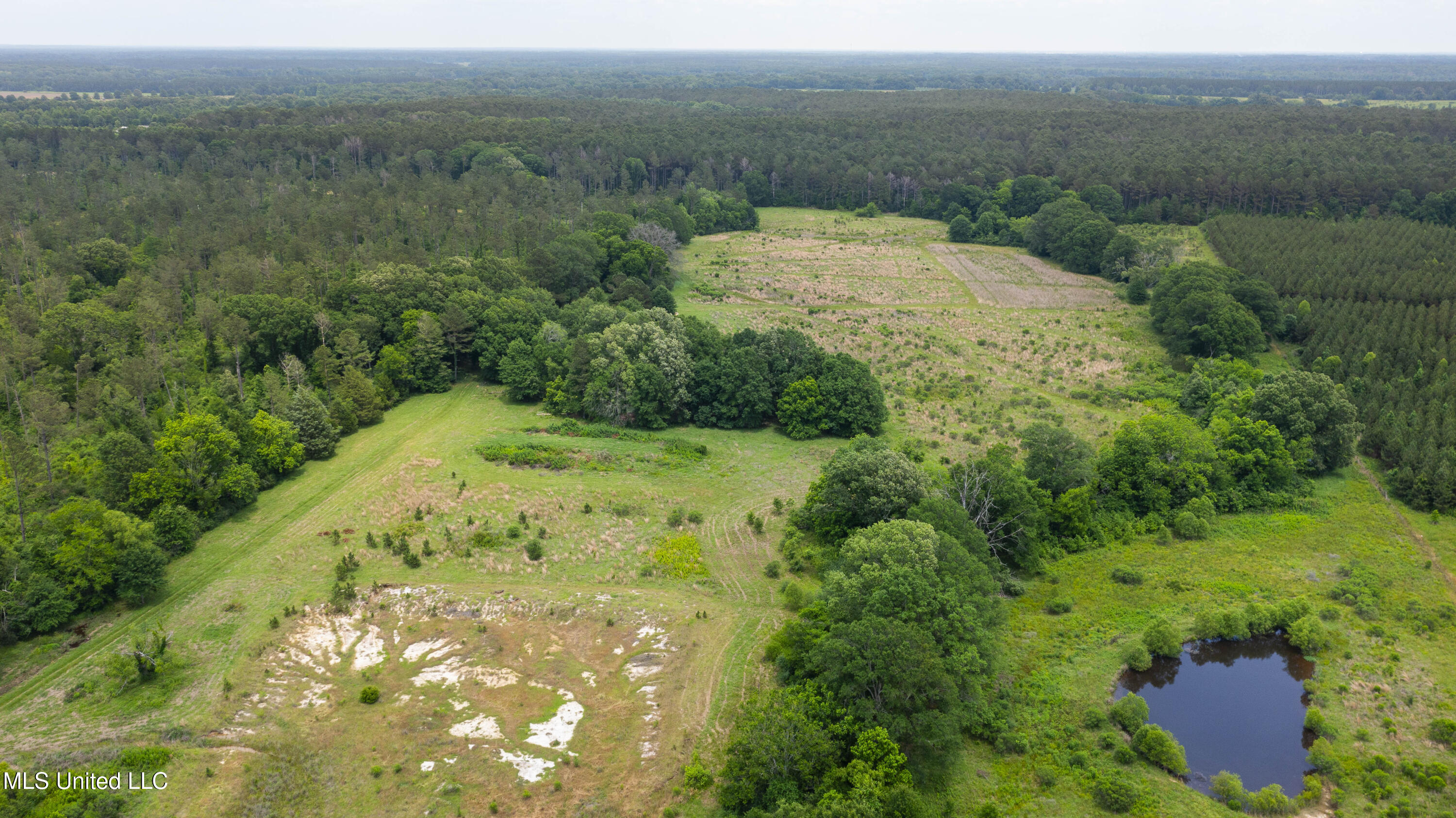 Horseshoe Lane, Flora, Mississippi image 7