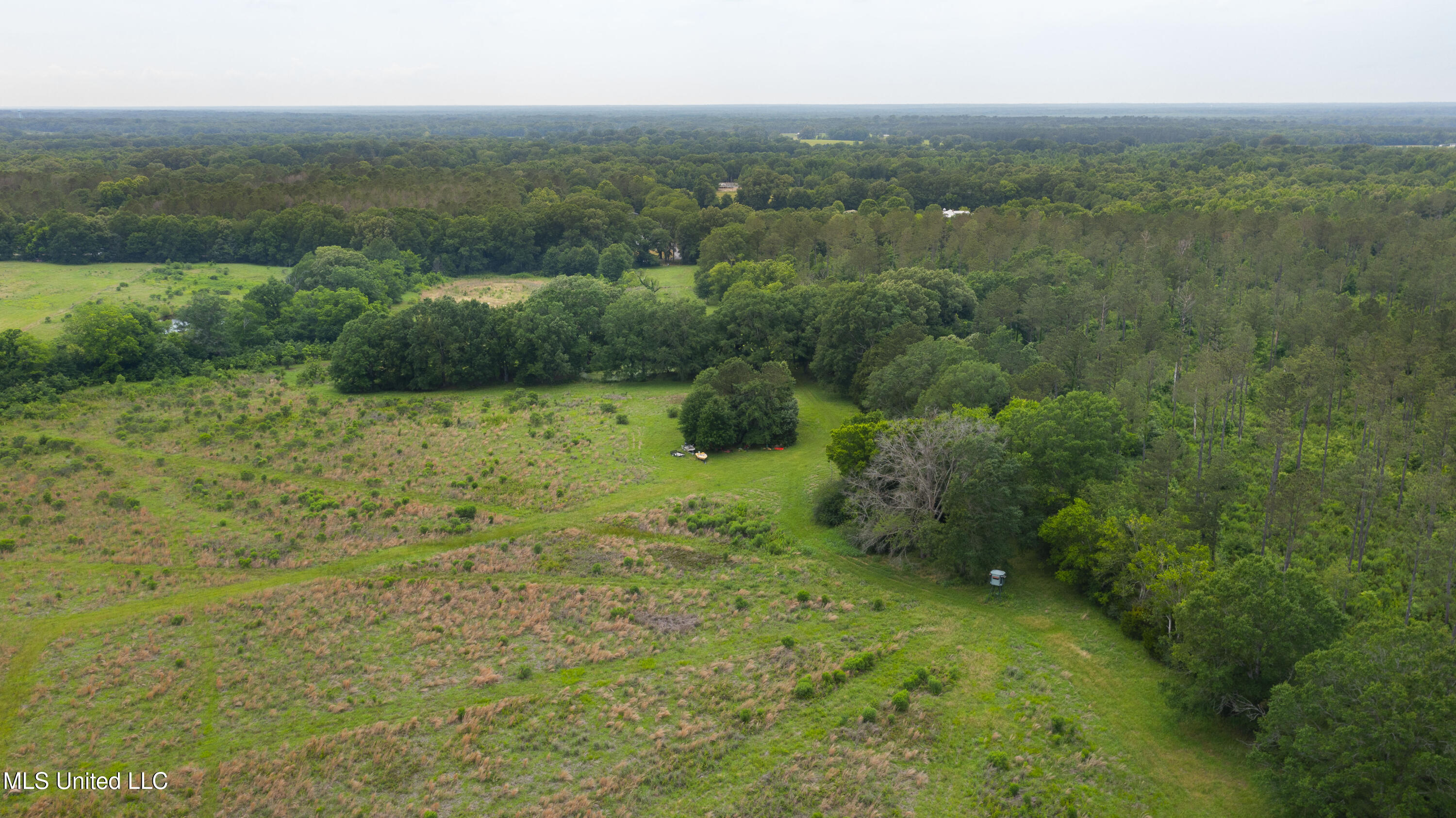 Horseshoe Lane, Flora, Mississippi image 17