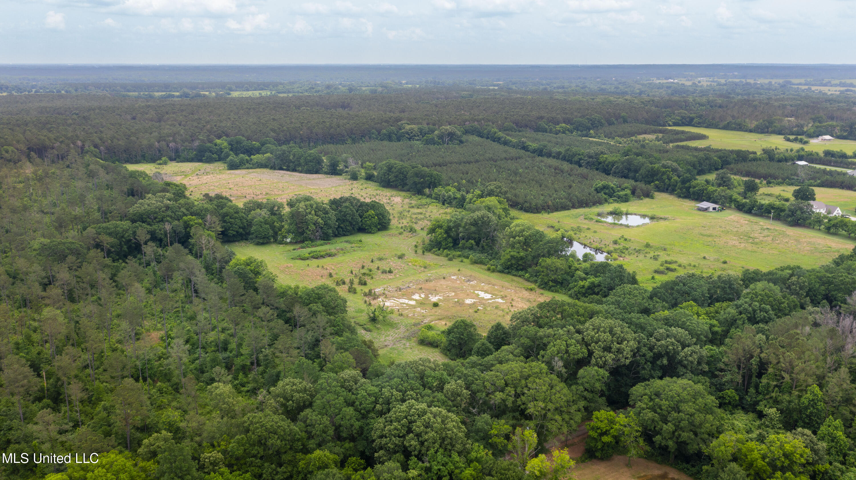 Horseshoe Lane, Flora, Mississippi image 3