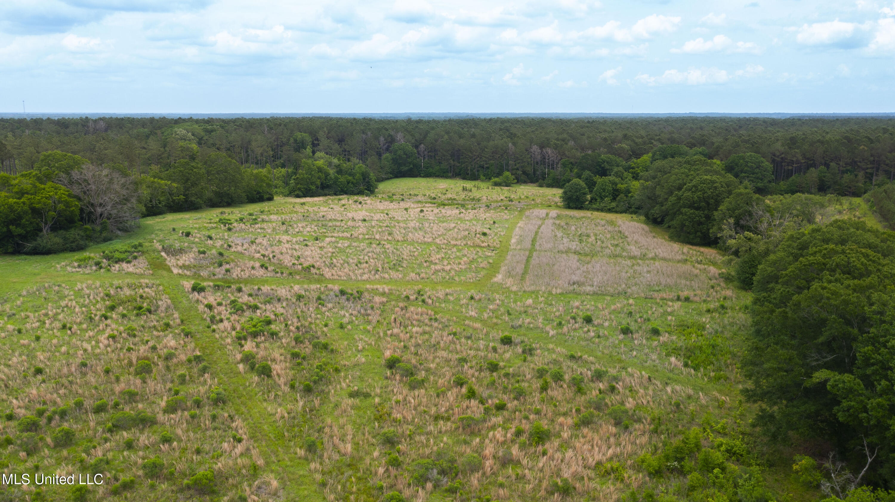 Horseshoe Lane, Flora, Mississippi image 12