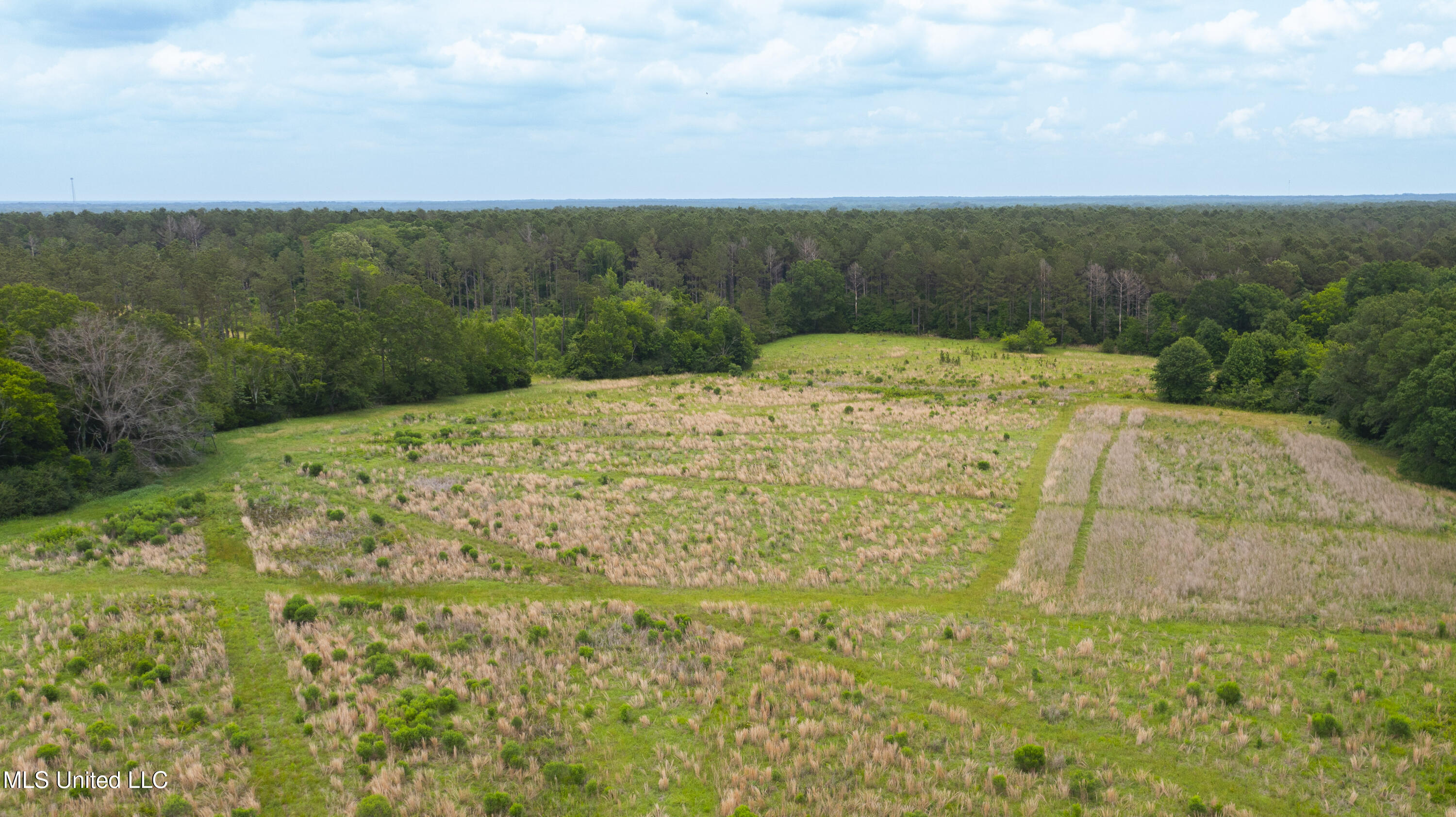 Horseshoe Lane, Flora, Mississippi image 13