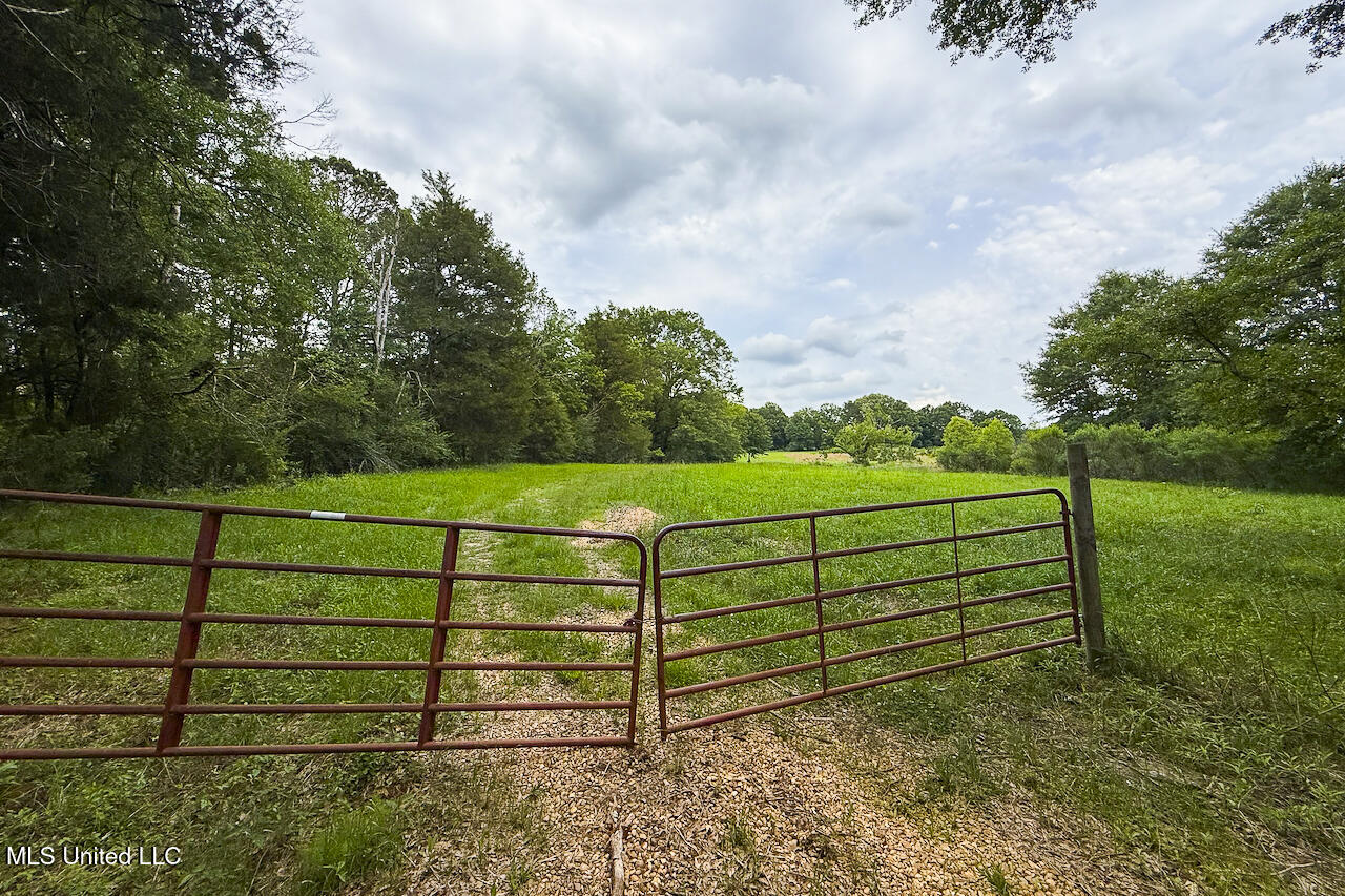 Horseshoe Lane, Flora, Mississippi image 19