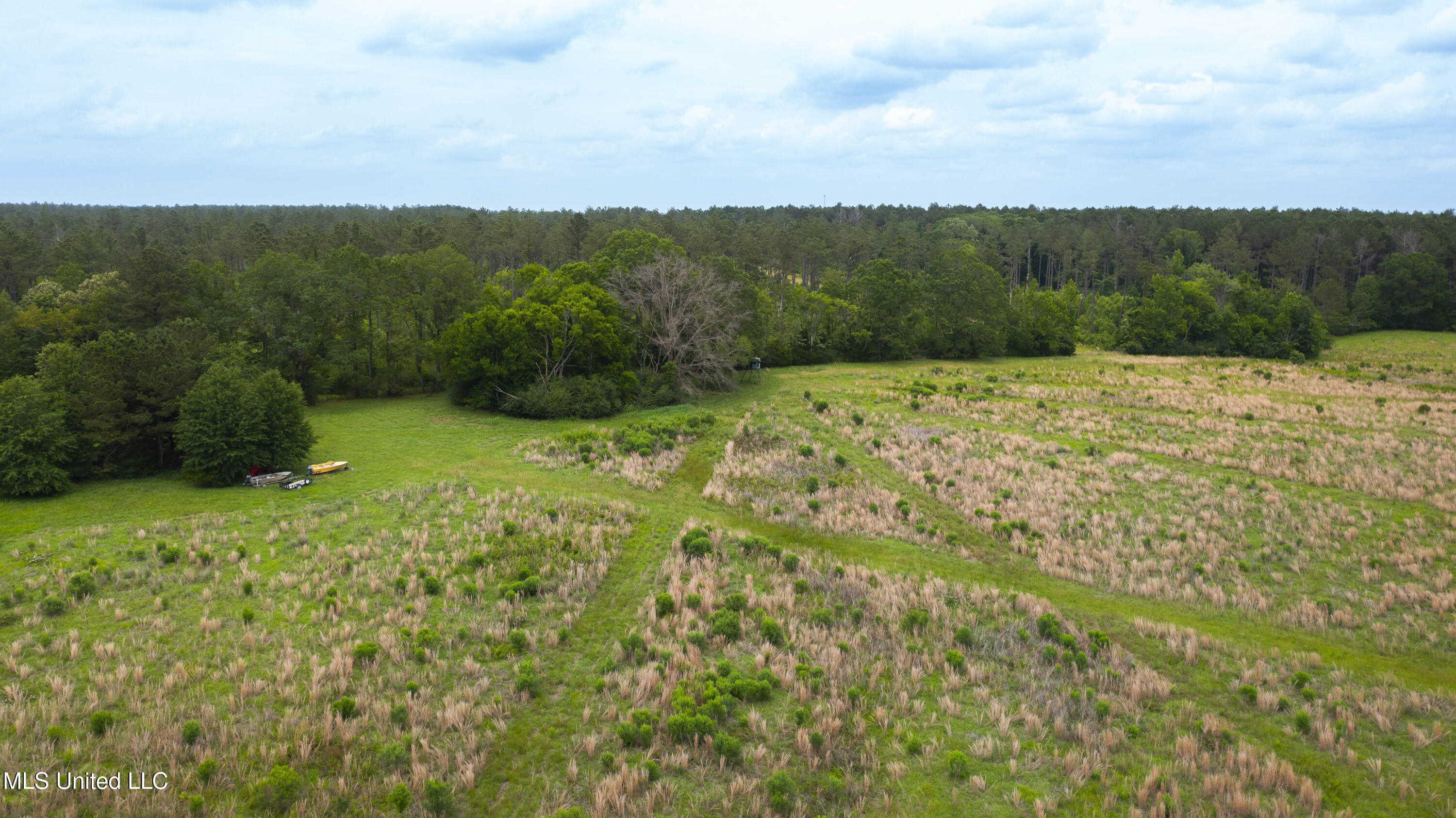 Horseshoe Lane, Flora, Mississippi image 14