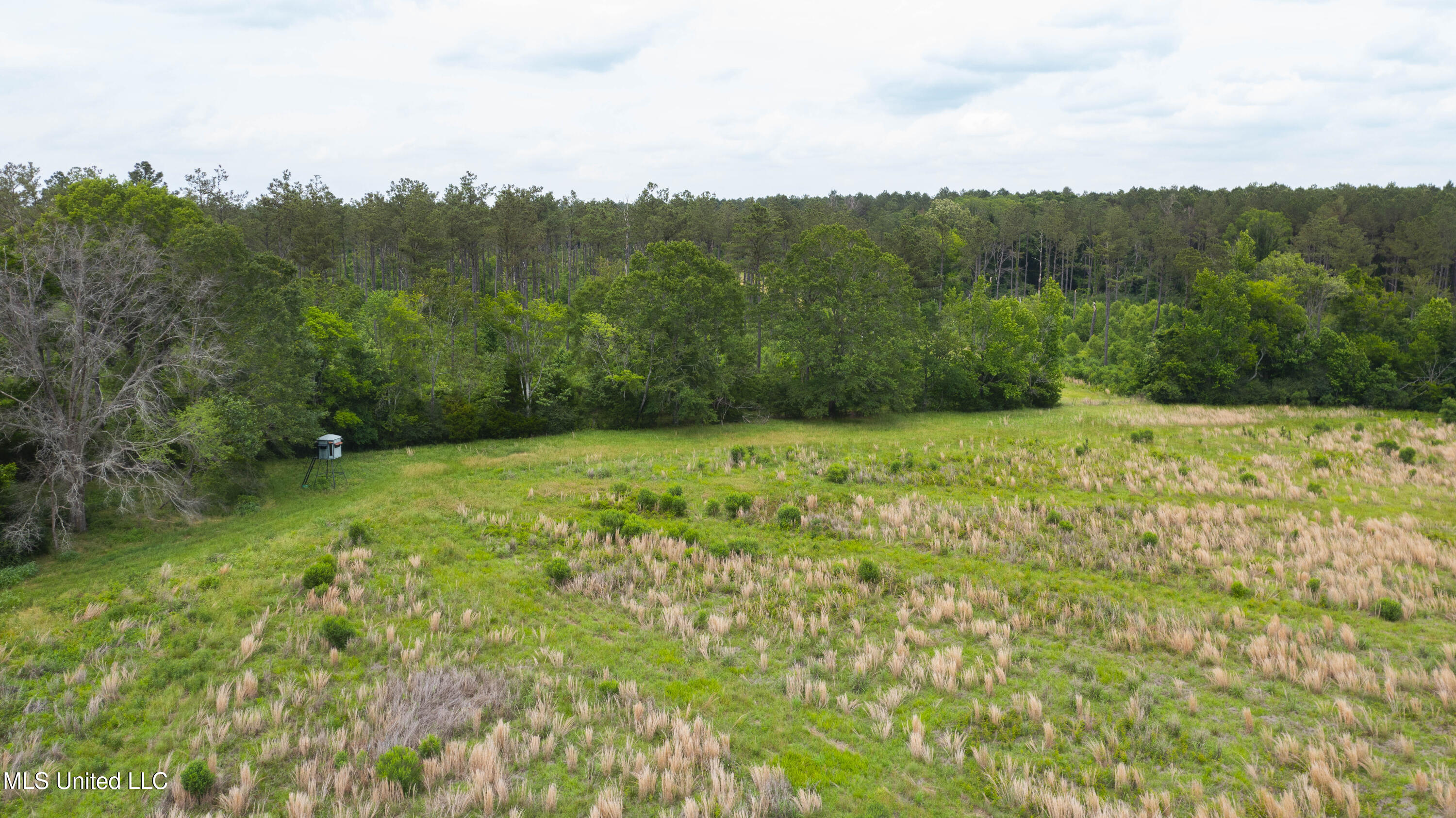 Horseshoe Lane, Flora, Mississippi image 15