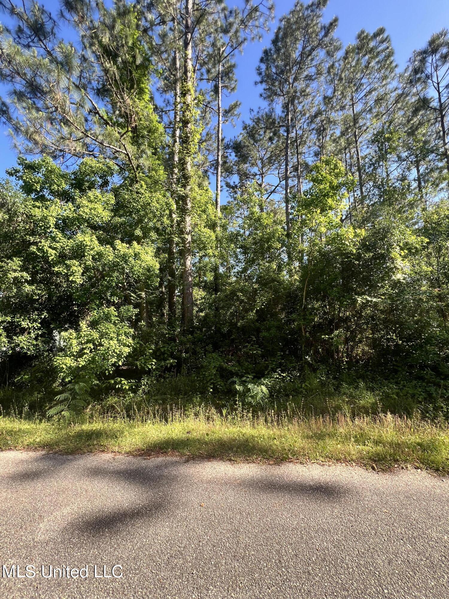 Orange Street, Bay Saint Louis, Mississippi image 2