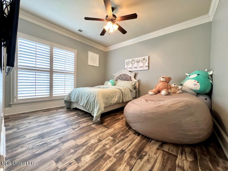 8104 Bella Donna Circle, Olive Branch, Mississippi image 28