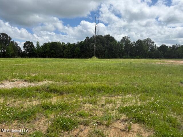 Cedar Crst Cove, Byhalia, Mississippi image 1
