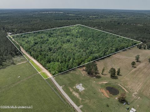 Vacant Land For Sale - 40 ACRES Son's Lane<br/> Jefferson Davis County, Mount Olive, MS 39119