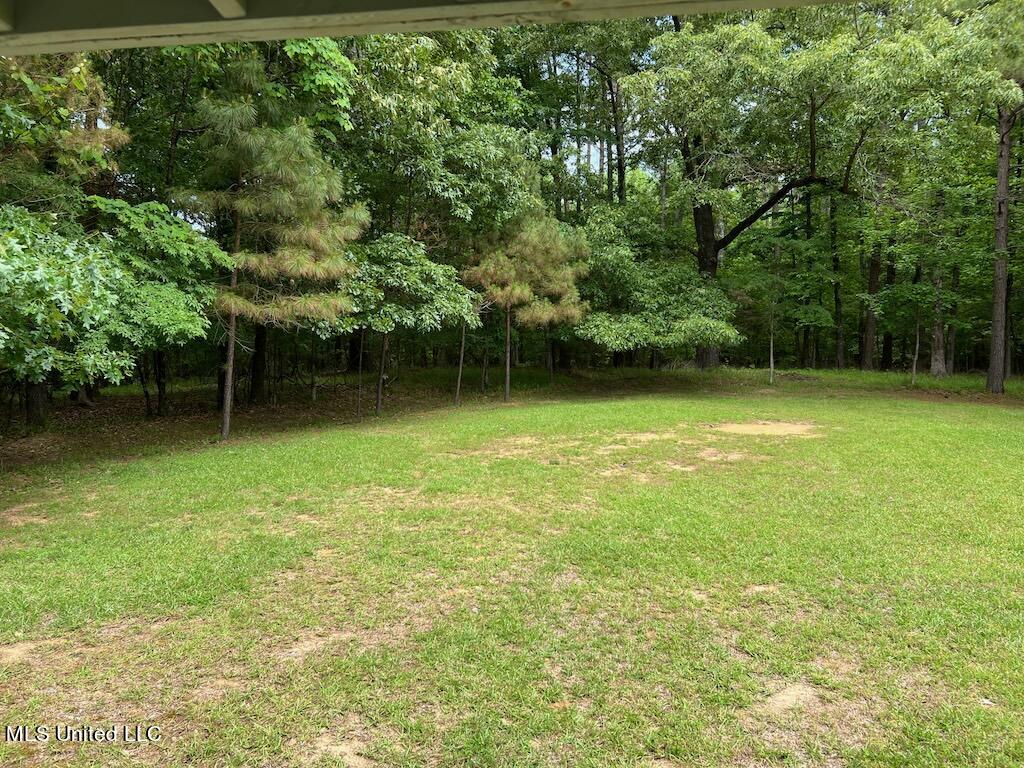 425 Deerwood Park Drive, Oakland, Mississippi image 44