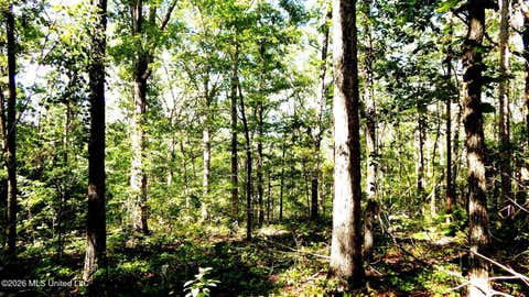 Vacant Land For Sale - 330 County Road 245<br/> Lafayette County, Abbeville, MS 38601