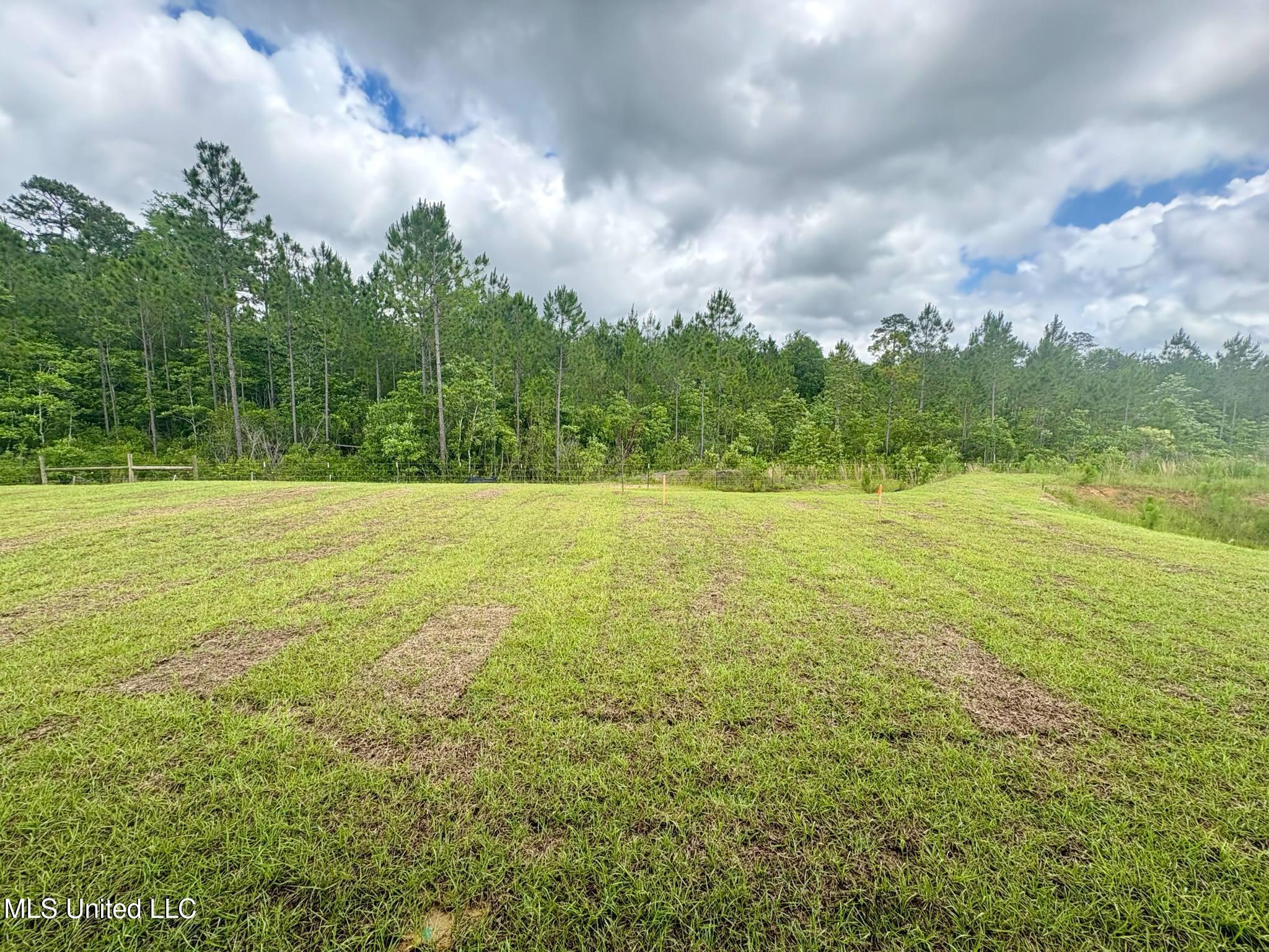 18052 Tiffany Renee Drive, Gulfport, Mississippi image 25