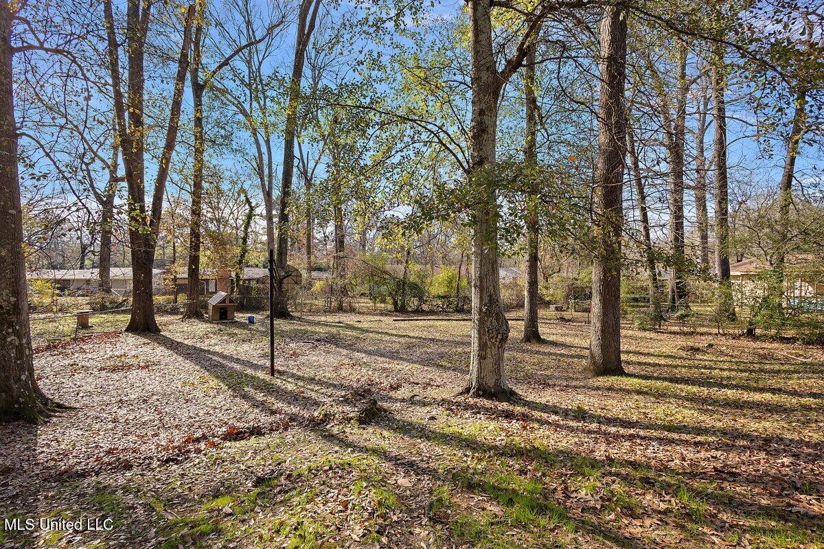 1463 Woody Drive, Jackson, Mississippi image 15