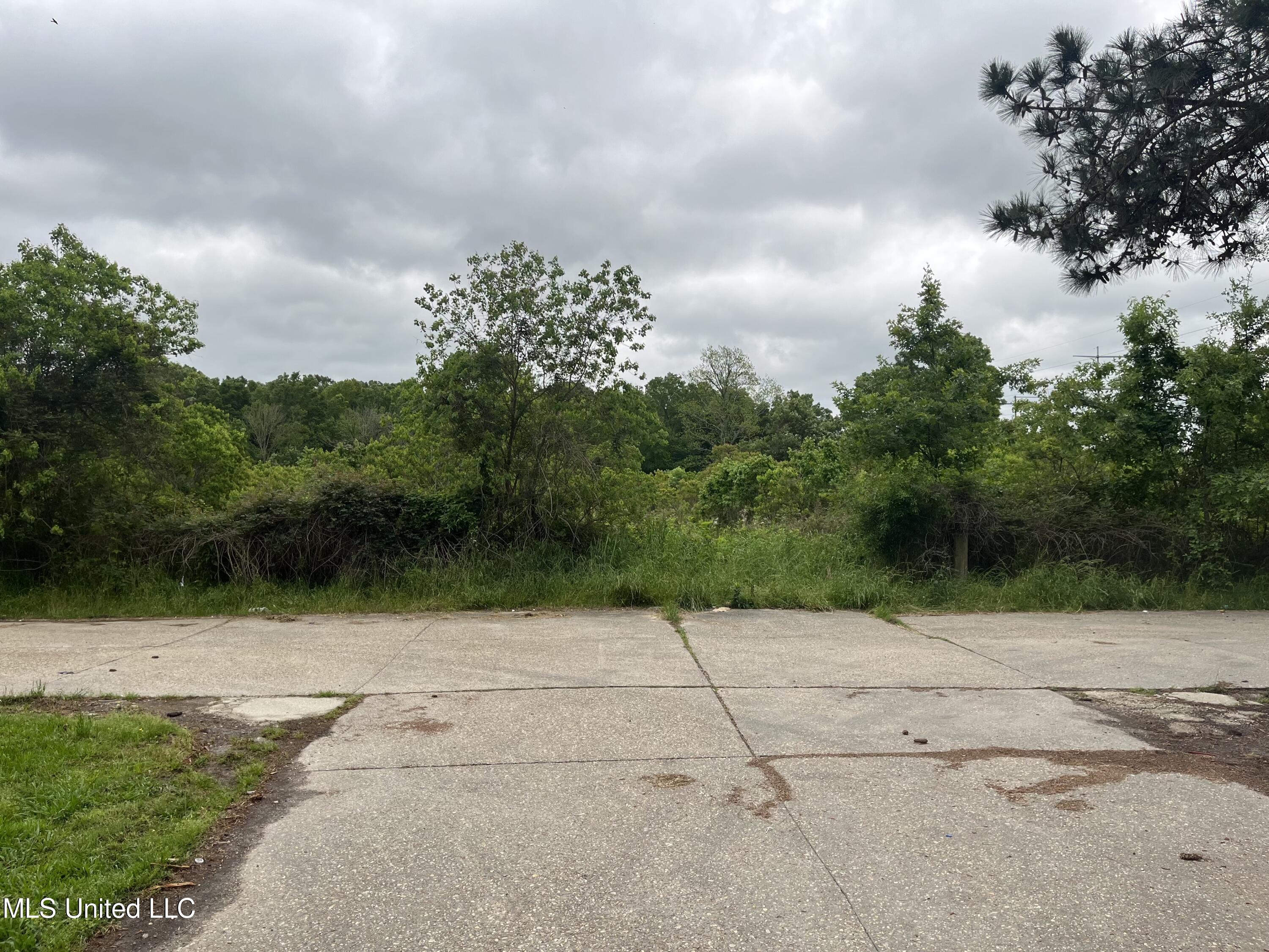 00 Old Scenic Highway, Zachary, Louisiana image 4