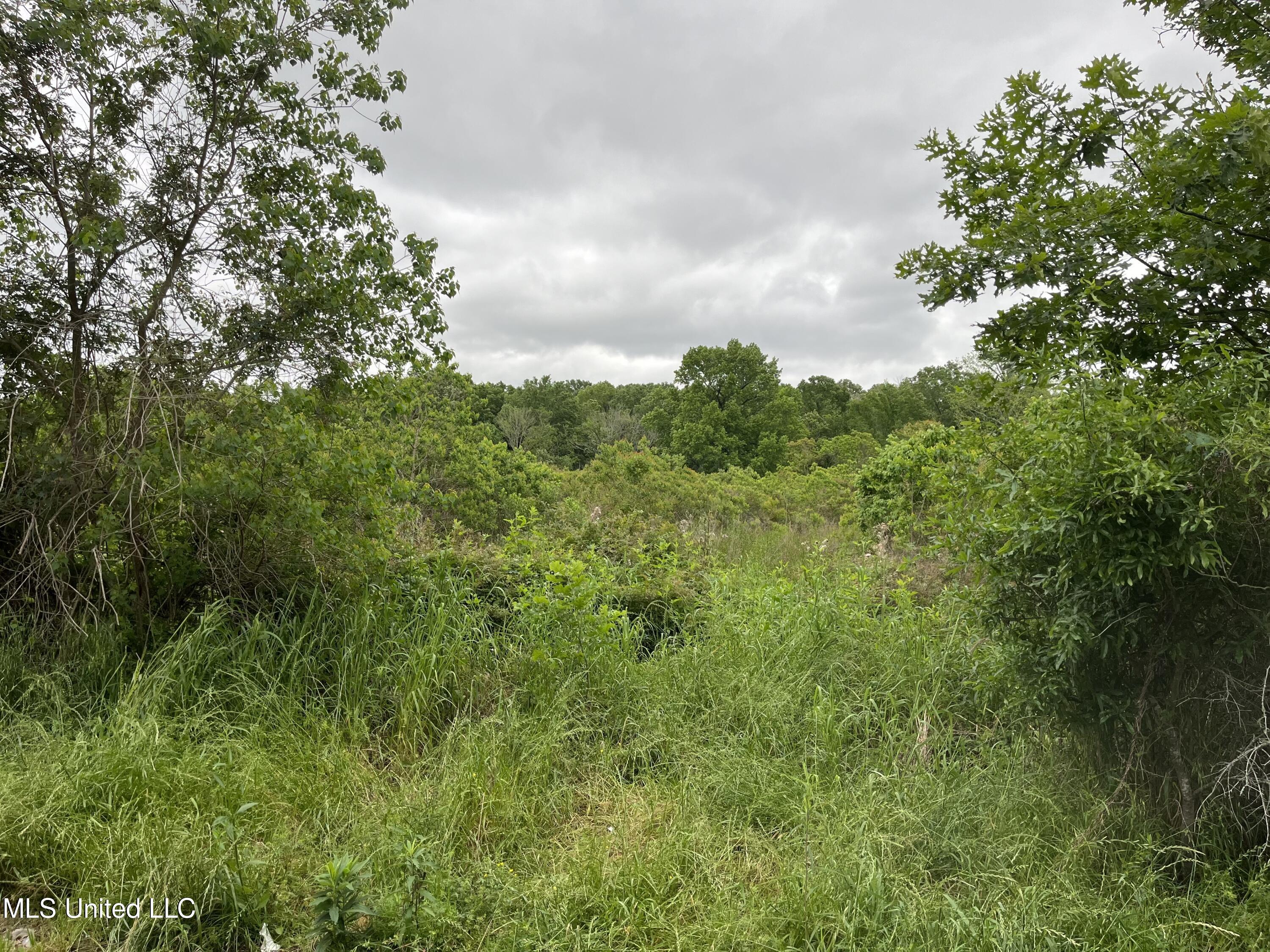 00 Old Scenic Highway, Zachary, Louisiana image 3