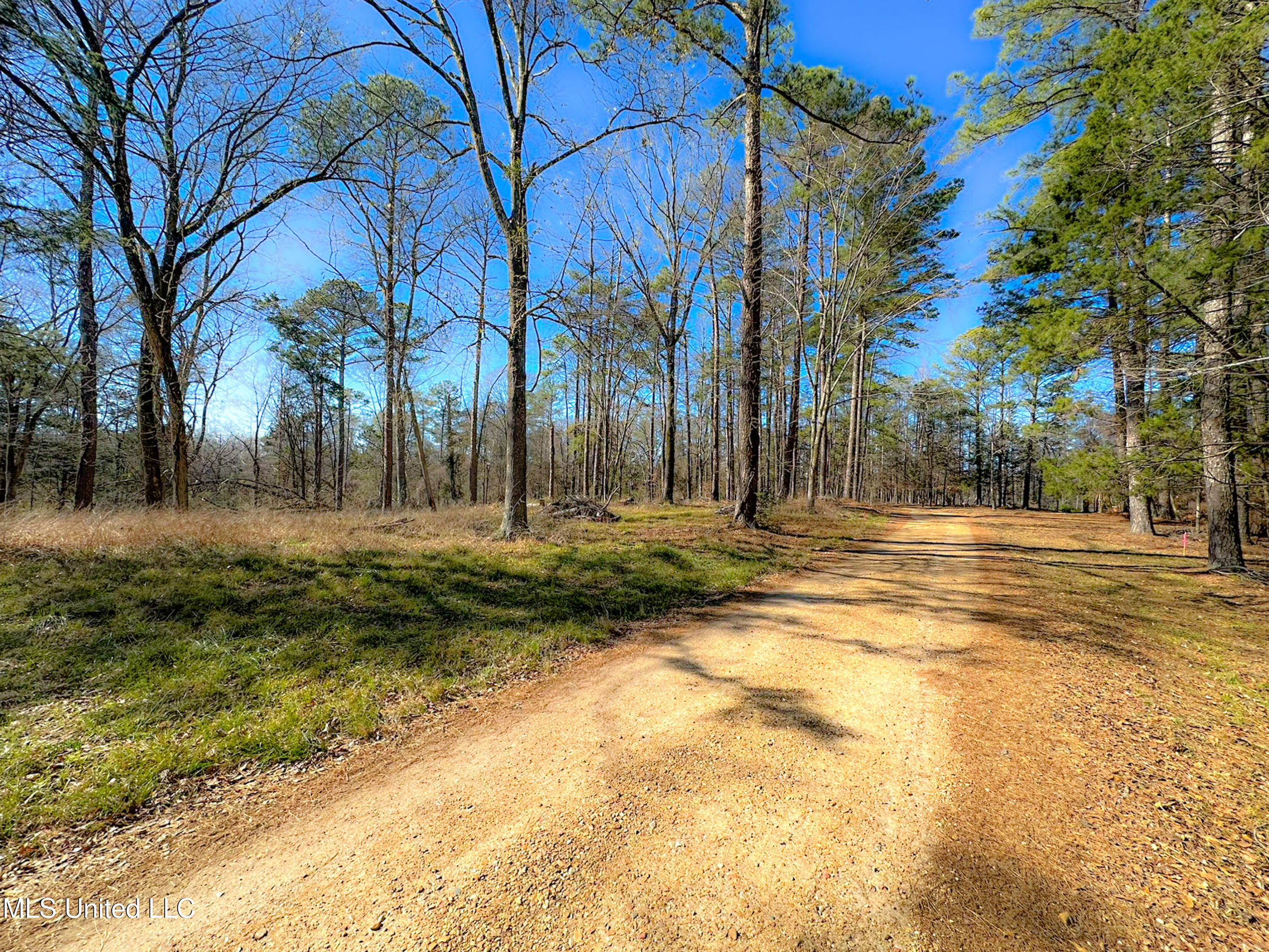 Picnic Hill Road, Madison, Mississippi image 11