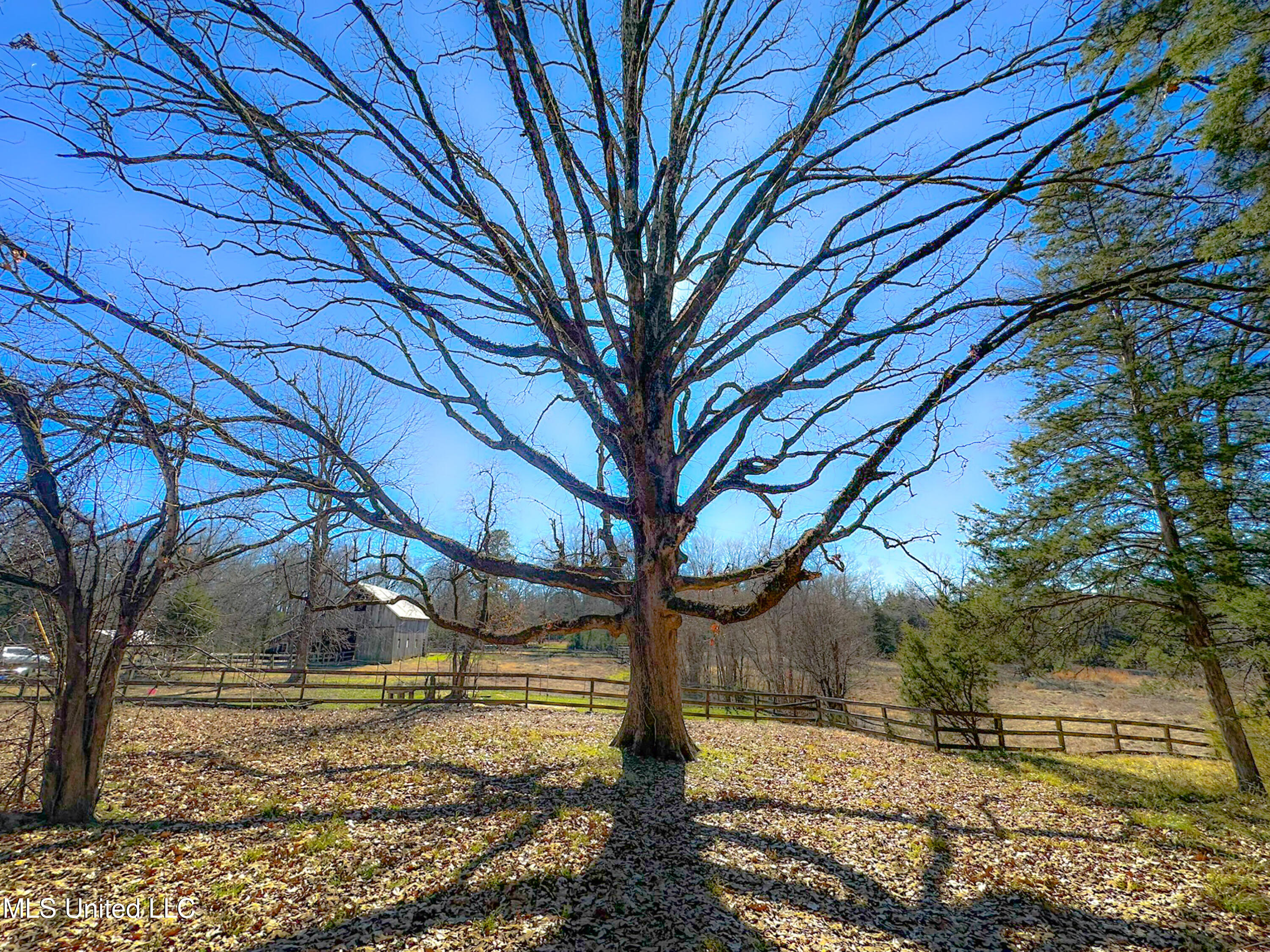 Picnic Hill Road, Madison, Mississippi image 7