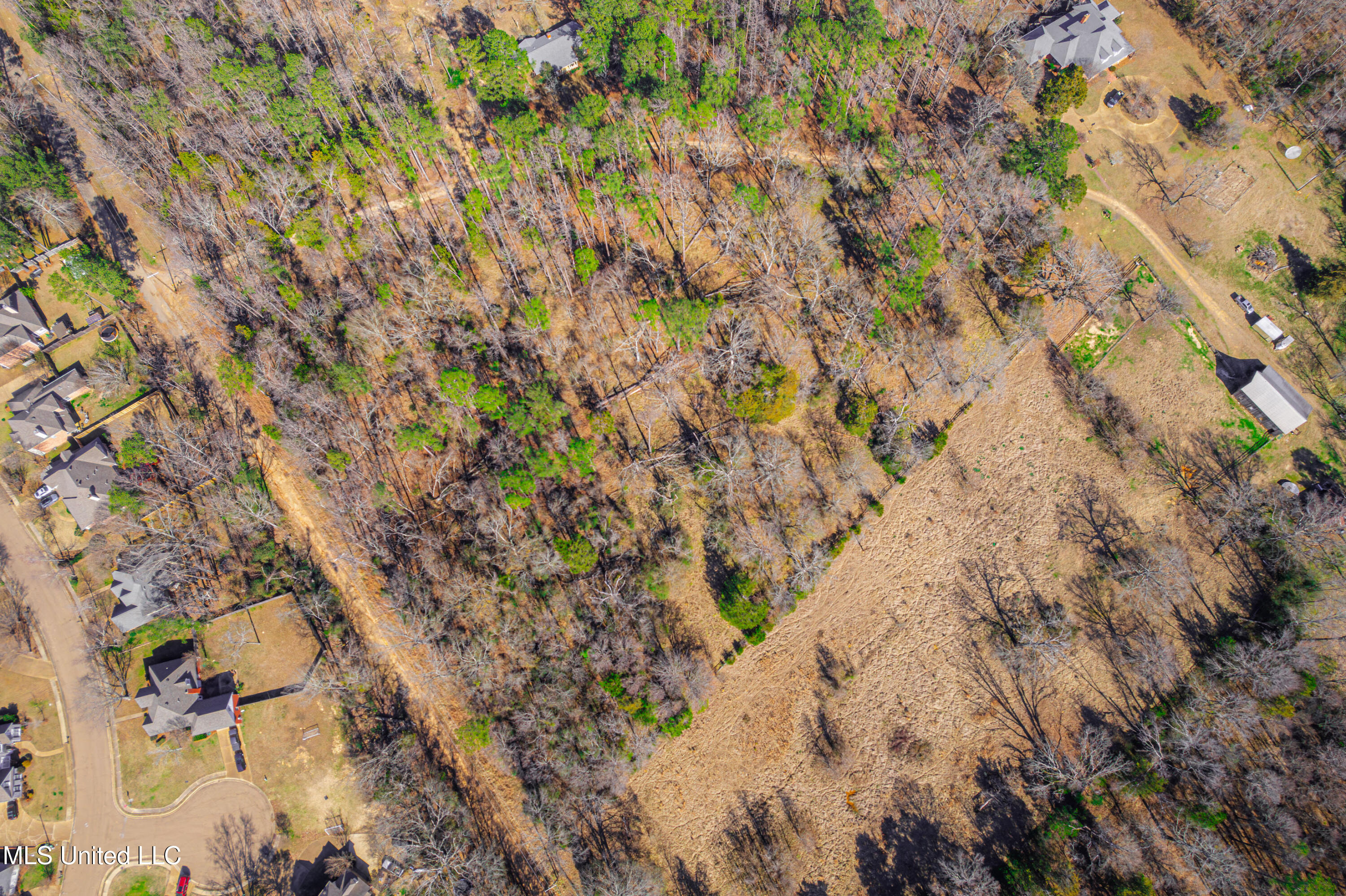 Picnic Hill Road, Madison, Mississippi image 5